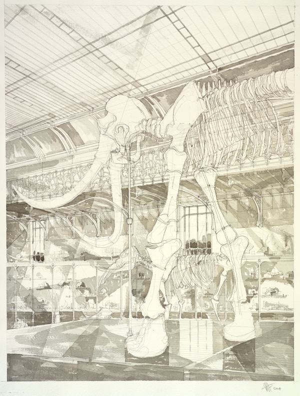 MAMMOUTH GALERIE DE PALÉONTOLOGIE ET D’ANATOMIE COMPARÉE 2004 