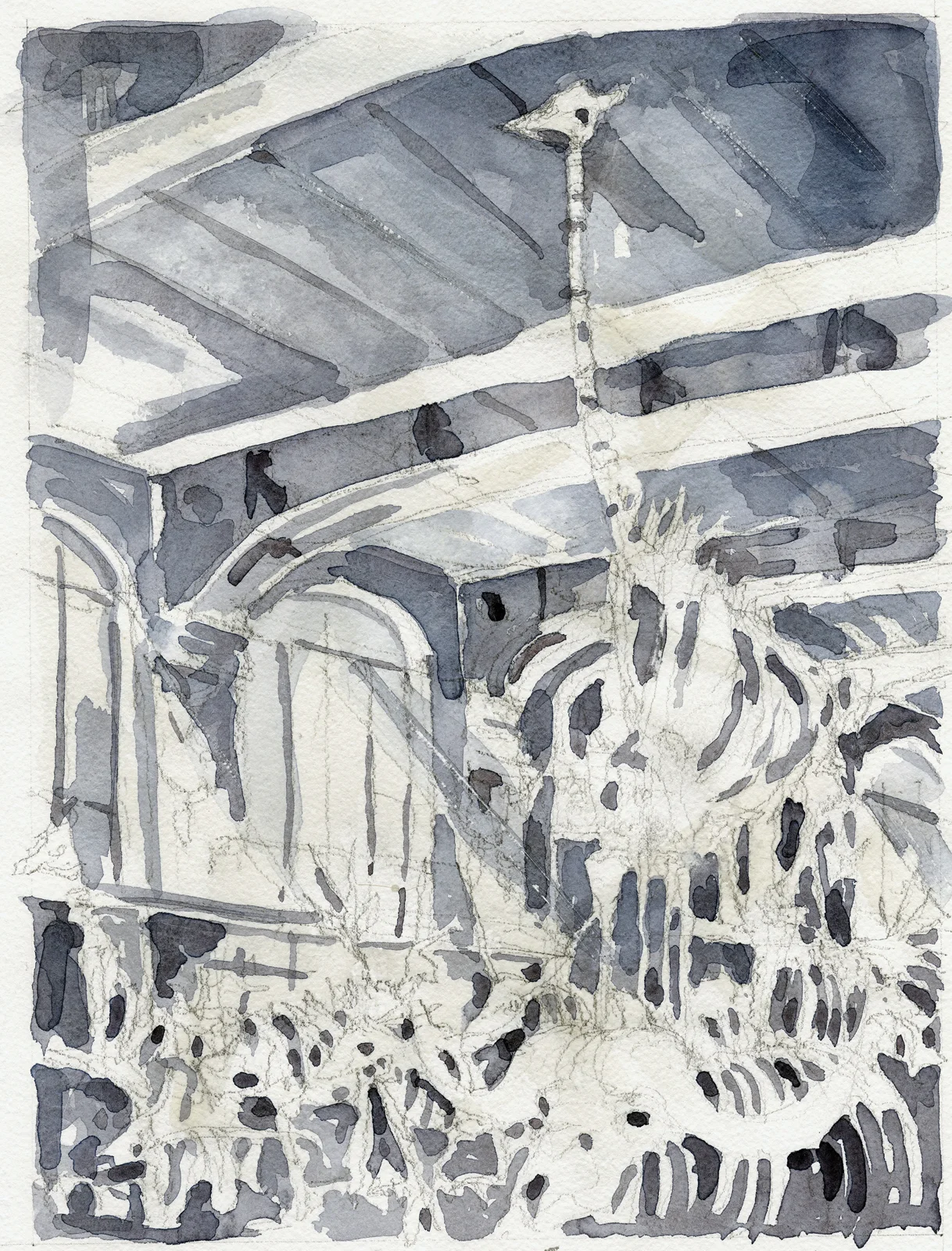 GALERIE DE PALÉONTOLOGIE ET D’ANATOMIE COMPARÉE 2004 