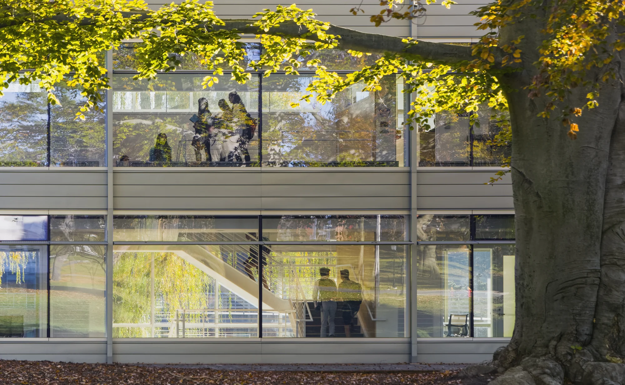 Image by Jeff Goldberg ESTO 