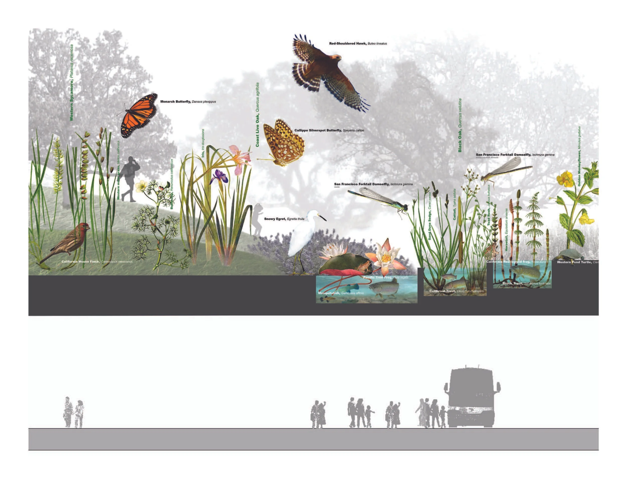 Pages from 2014_Agran_Work REVISED_FINAL-6.jpg