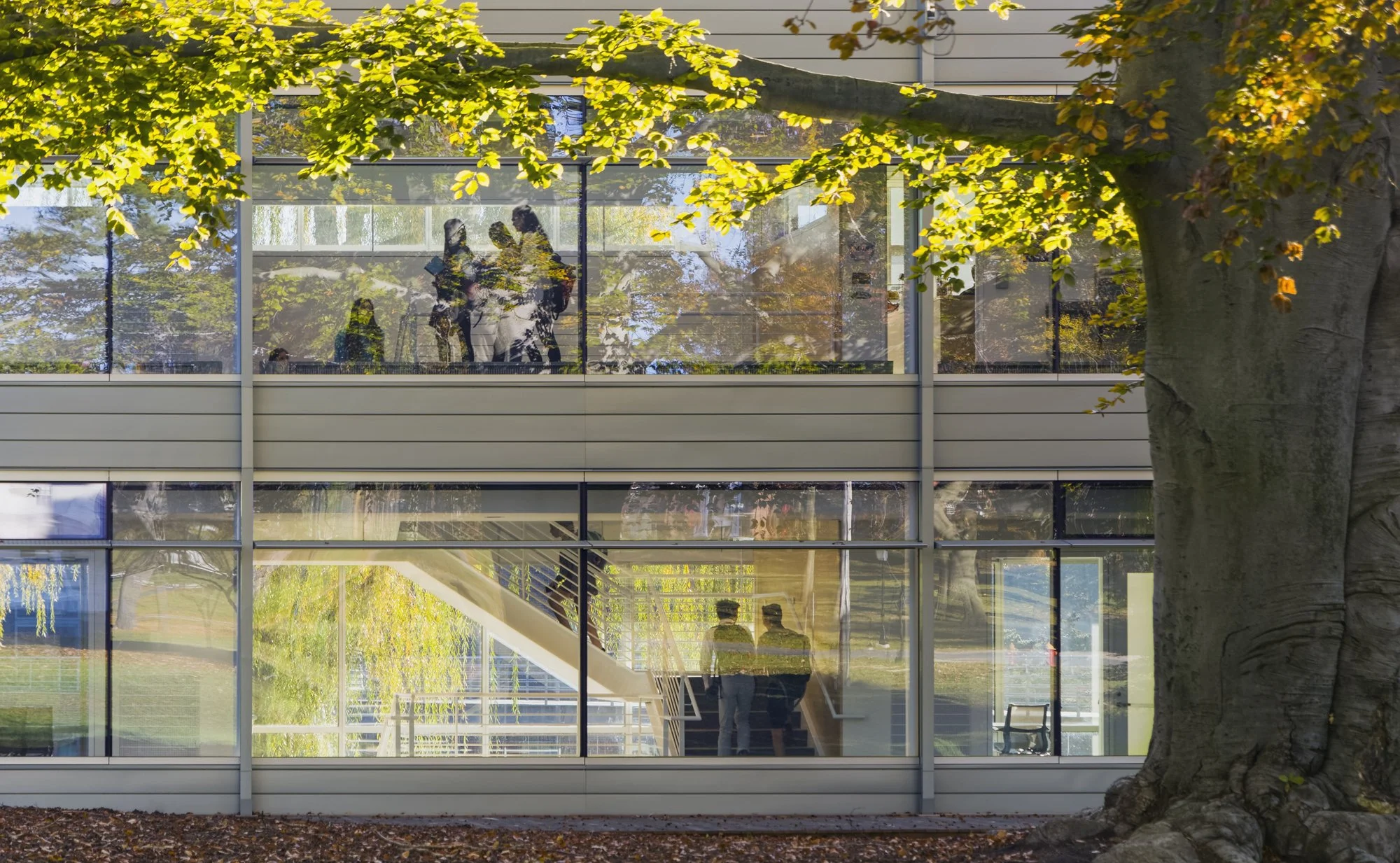 Lanphier Center_Choate Rosemary Hall_West elevation_Photography by Jeff Goldberg_Esto.jpg