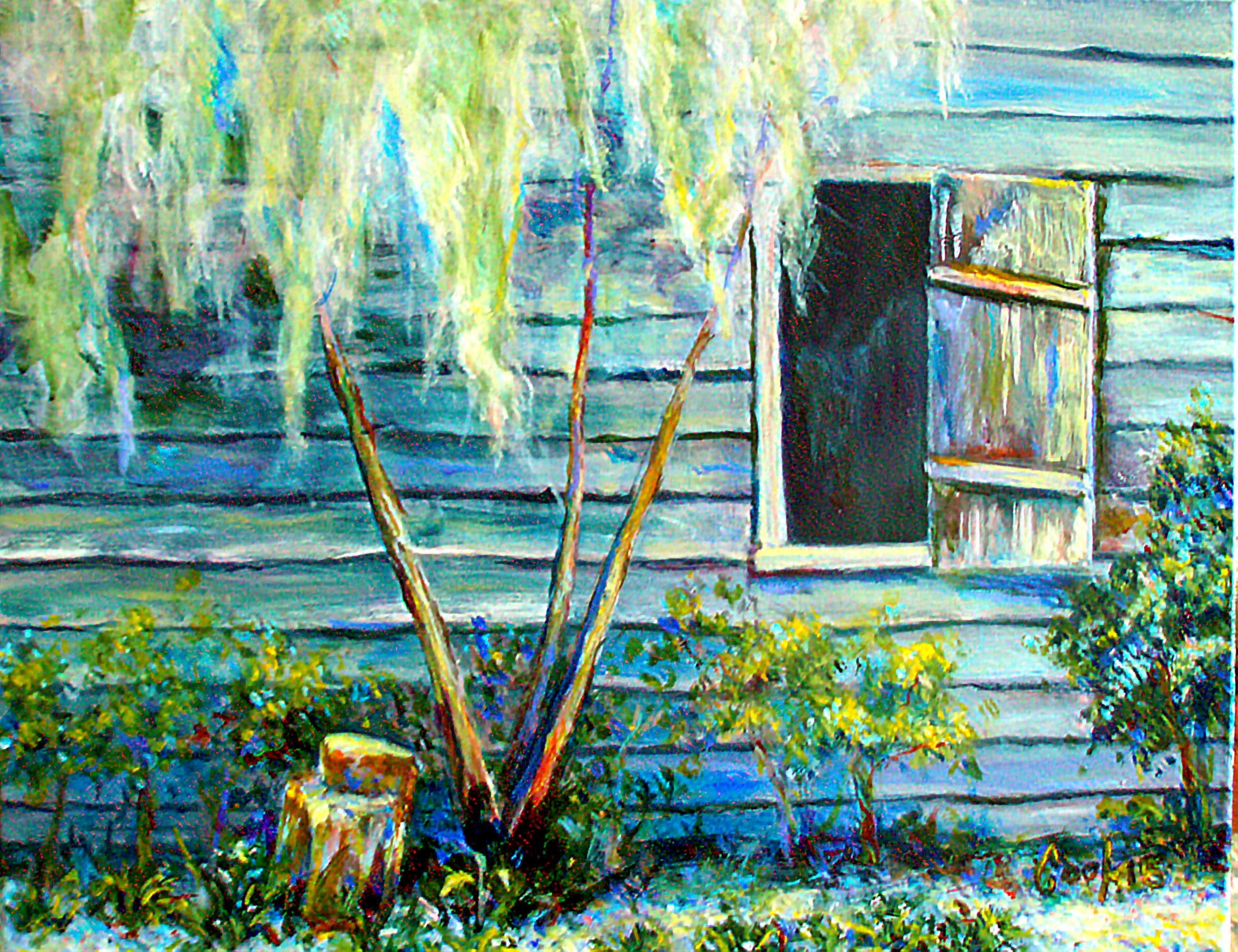 WHITE MOSS AND OLD WOOD,