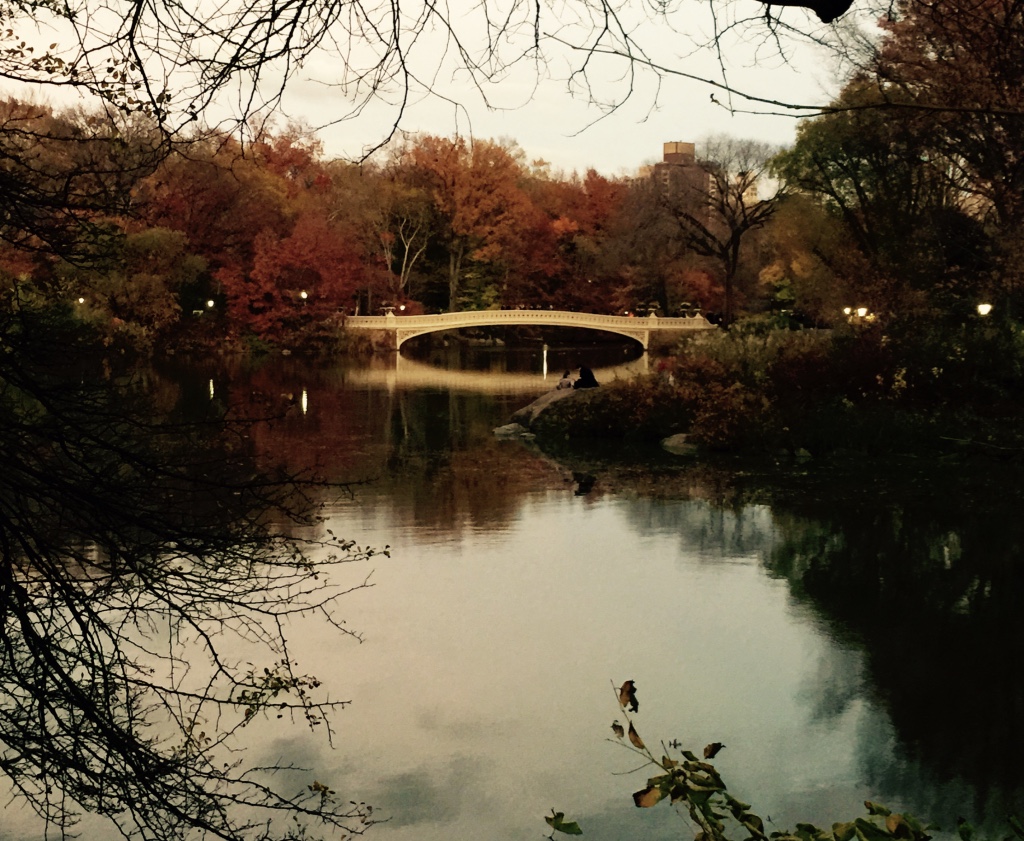 Central Park at Dusk, November 2015
