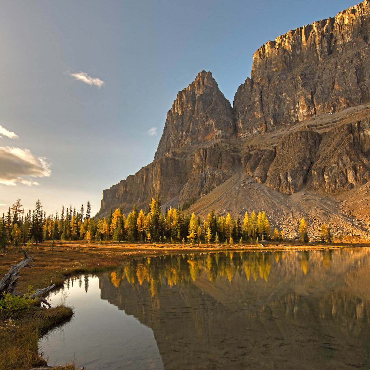 Tower Lake — Banff Moments
