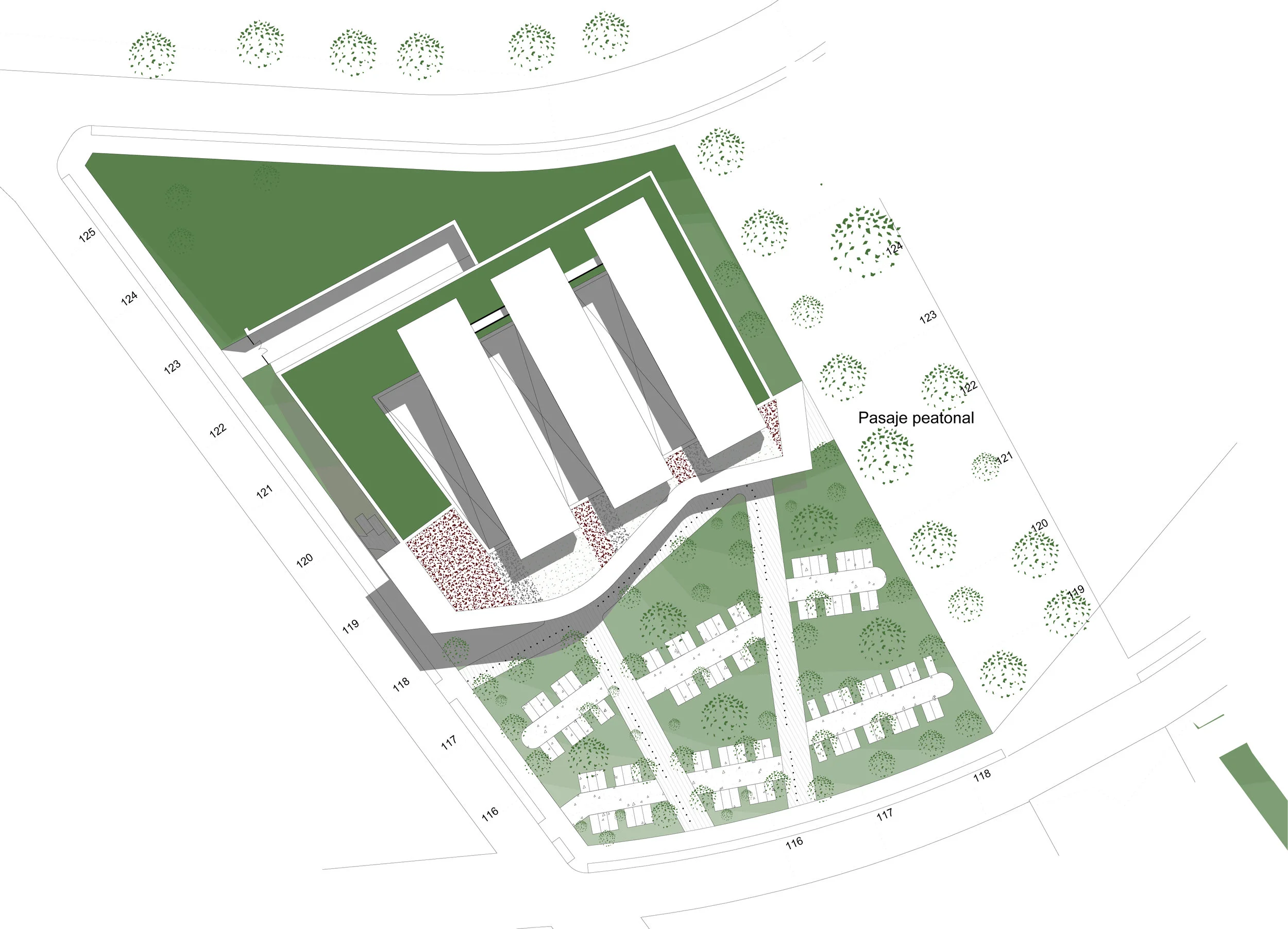planta conjunto.jpg