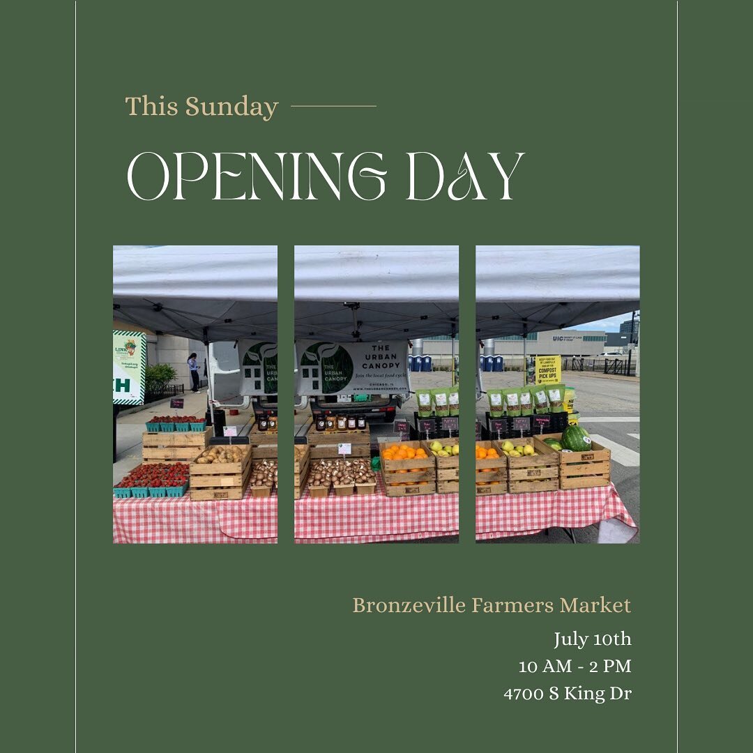 It&rsquo;s finally here! Opening day of the Bronzeville Farmers Market is THIS SUNDAY! It&rsquo;s gonna be a blast&mdash; we&rsquo;ve got live music from Joel Barr &amp; band, a Sunday Gardeners Club event hosted by @growsumthin and @qcdcbusinesses  