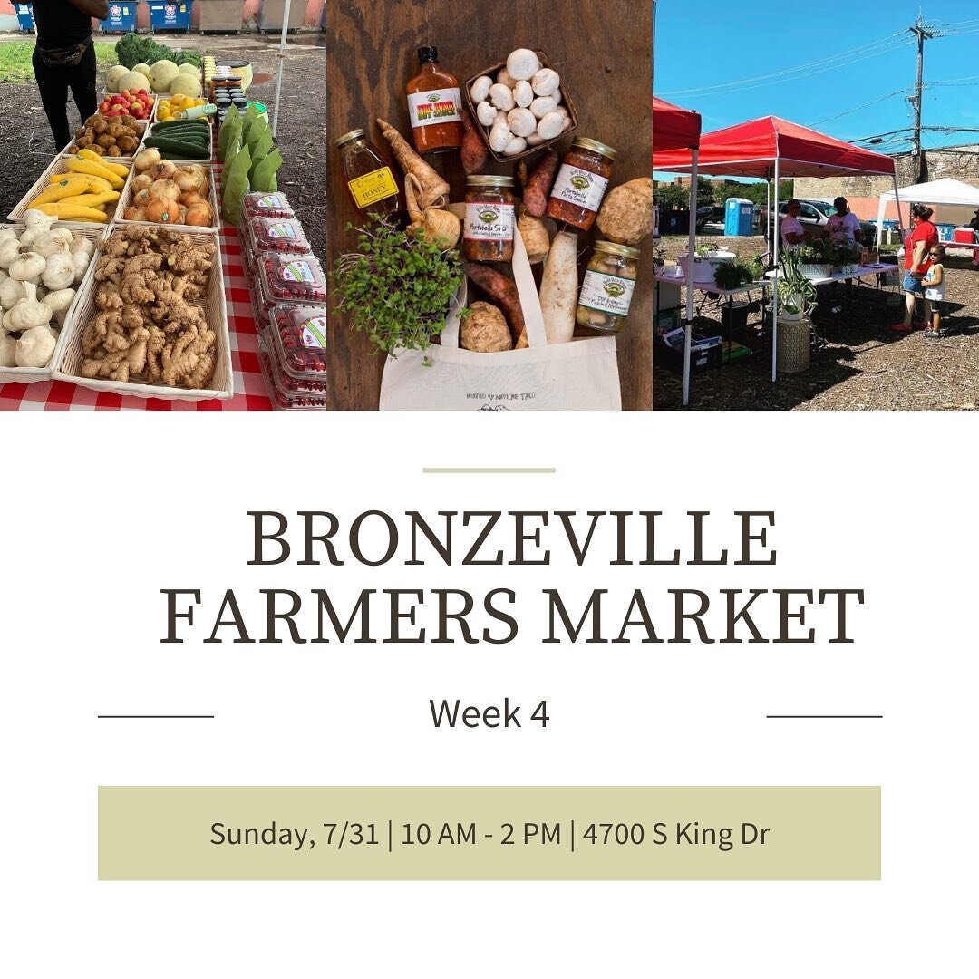 Week 4, here we come! Stop by the Bronzeville Farmers Market this Sunday for some fresh fruits and veggies, baked goods, and more! It&rsquo;s looking to be a lovely day ☀️so don&rsquo;t miss it!
___
Image Description: Three pictures on the top featur