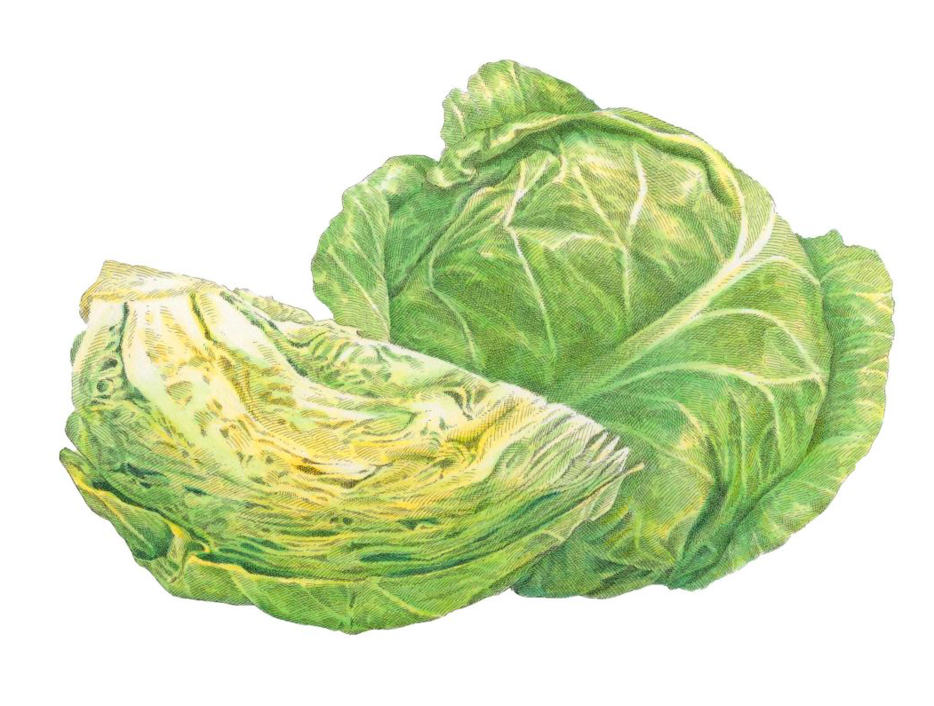 Whole Roasted Cabbage