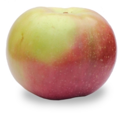 varicoza folk remedii oet apple