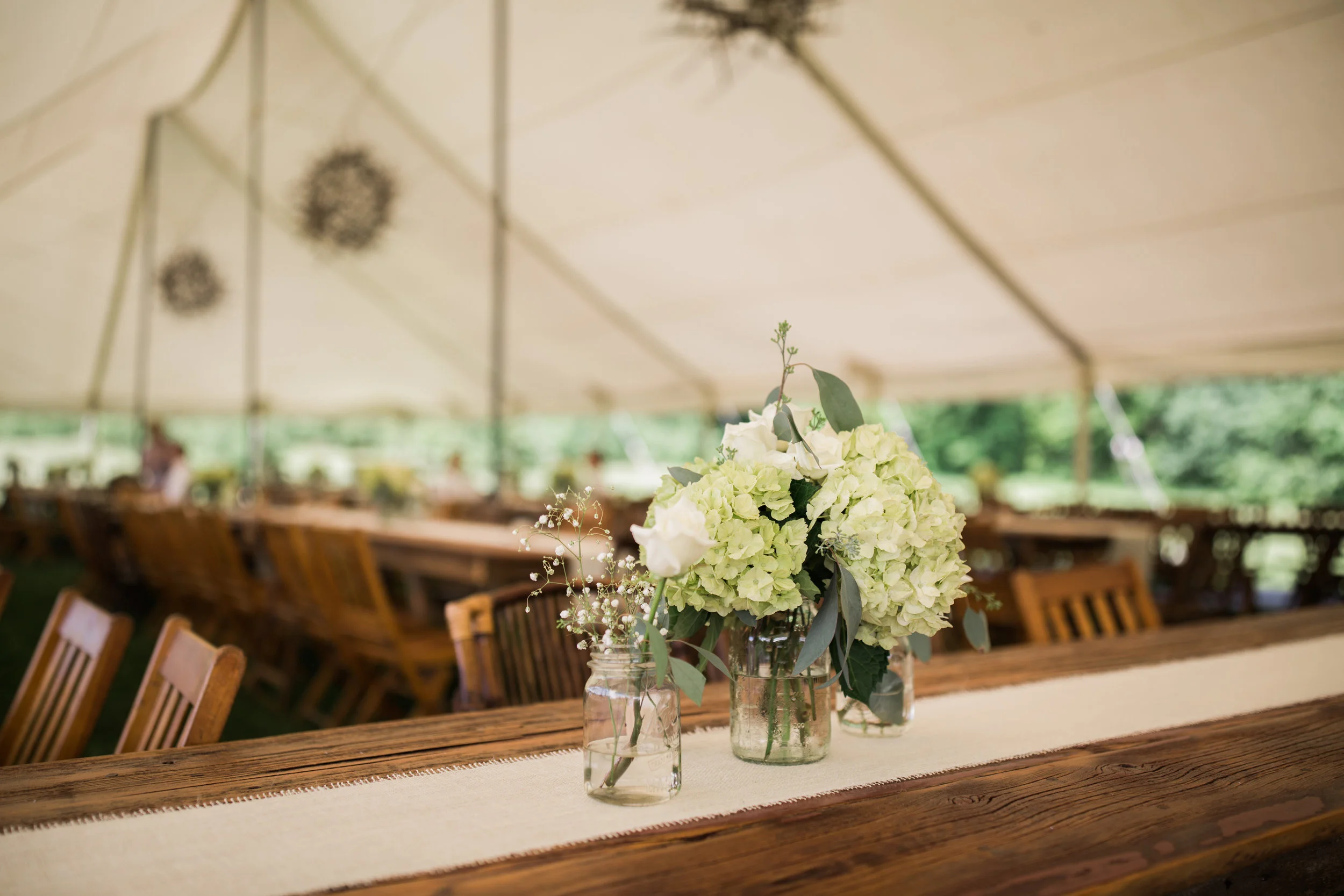 Photo Credit: Theresa DeCraene, www.tlynnphotos.com