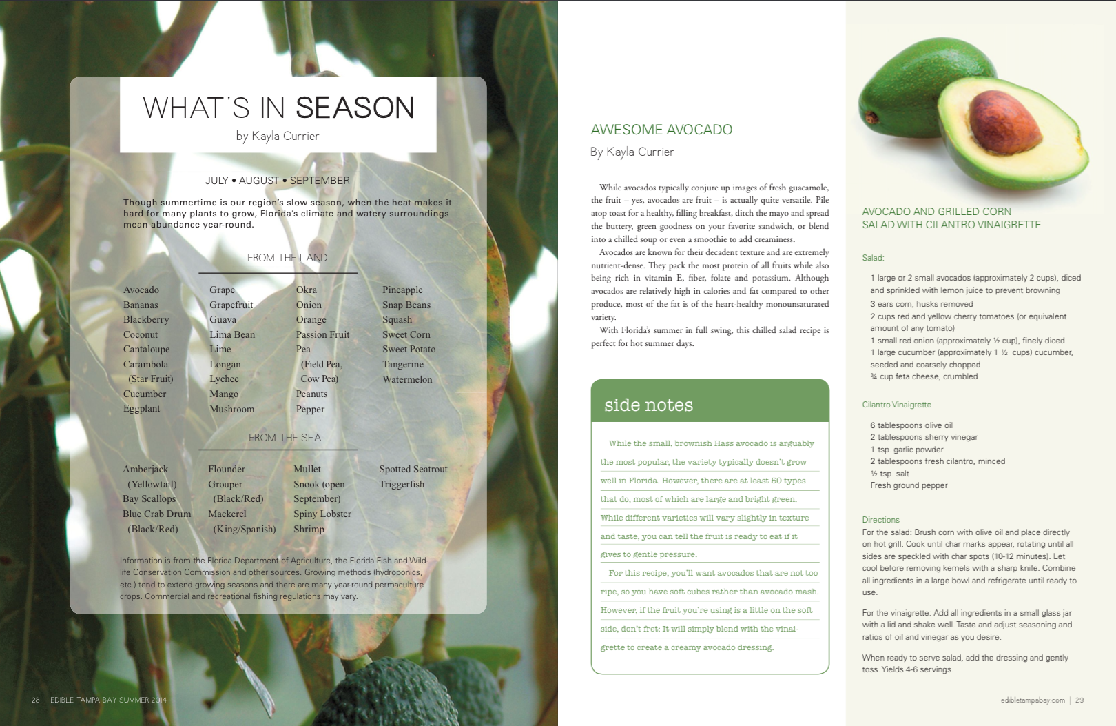 ediblesummer14.png