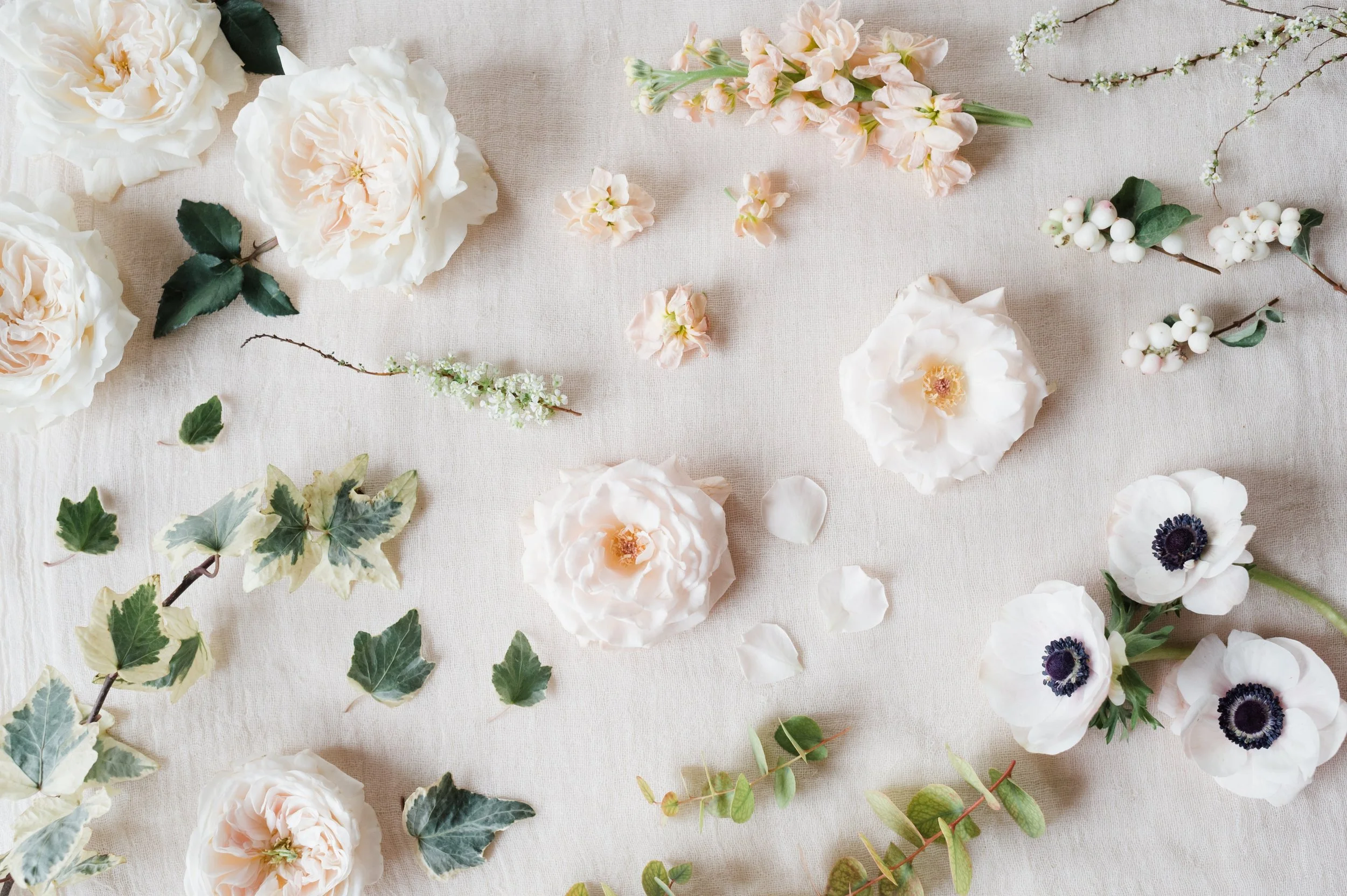 Kristen+Honeycutt+Photo+Co. flat lay spray rose ivy anenome garden rose.jpg