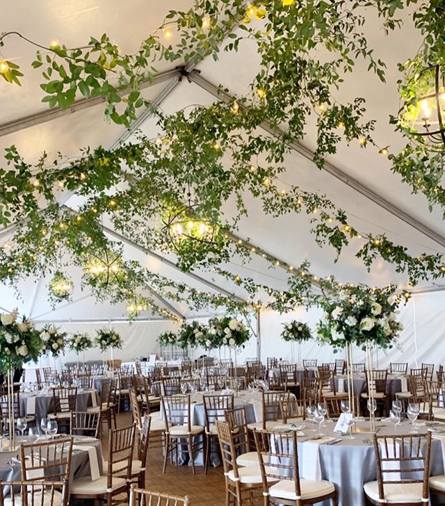 Kerin &amp; Brian&rsquo;s beautiful Boston wedding a few weekends back @museumofscience // There is no better way to bring in some romance and warmth than some lush greenery &amp; pretty lighting! Planner: @katemurtaugh  Lighting: @designlightco 
I h