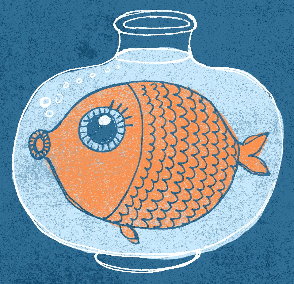 fishie.jpg