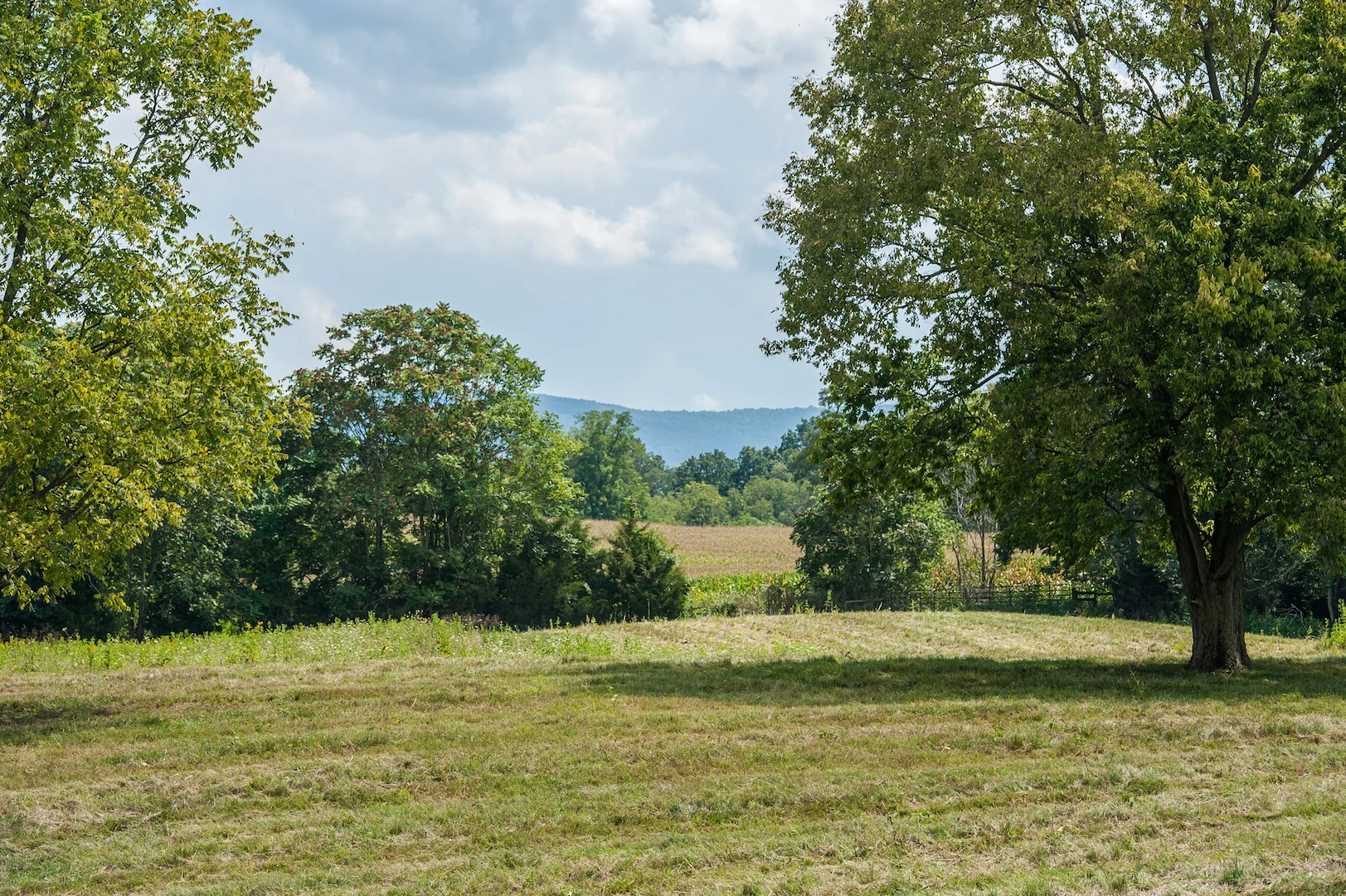 Serene views of the Blue Ridge