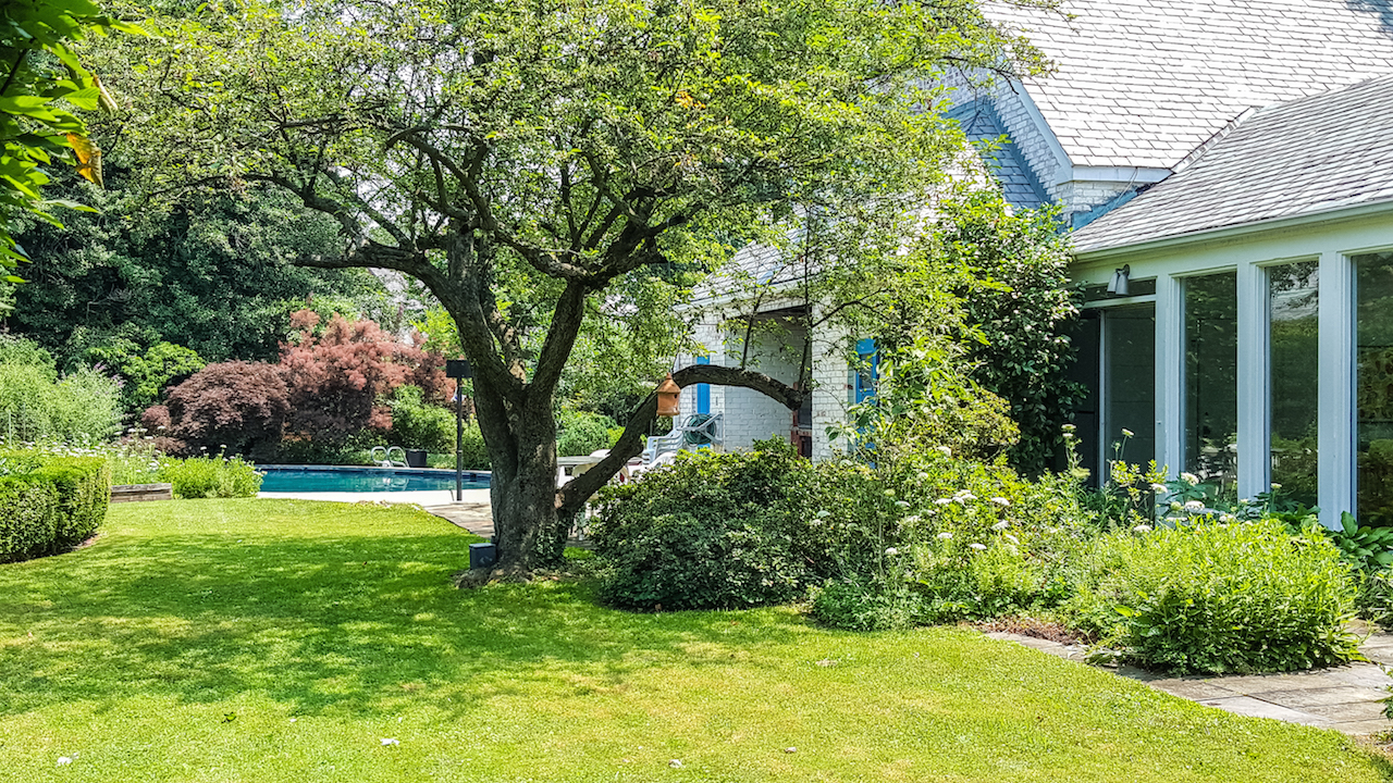 Chevy Chase, DC