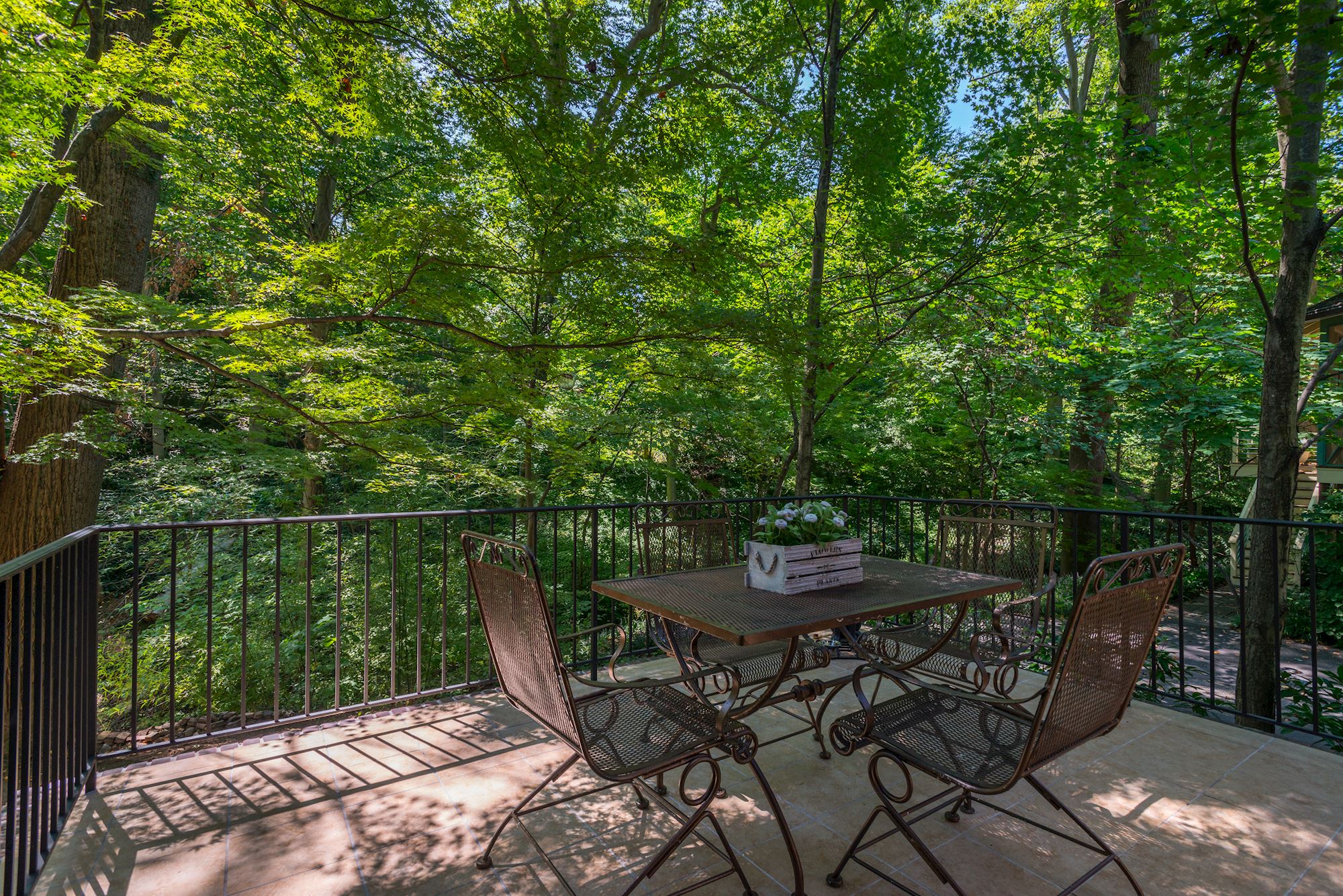 Spacious Terrace