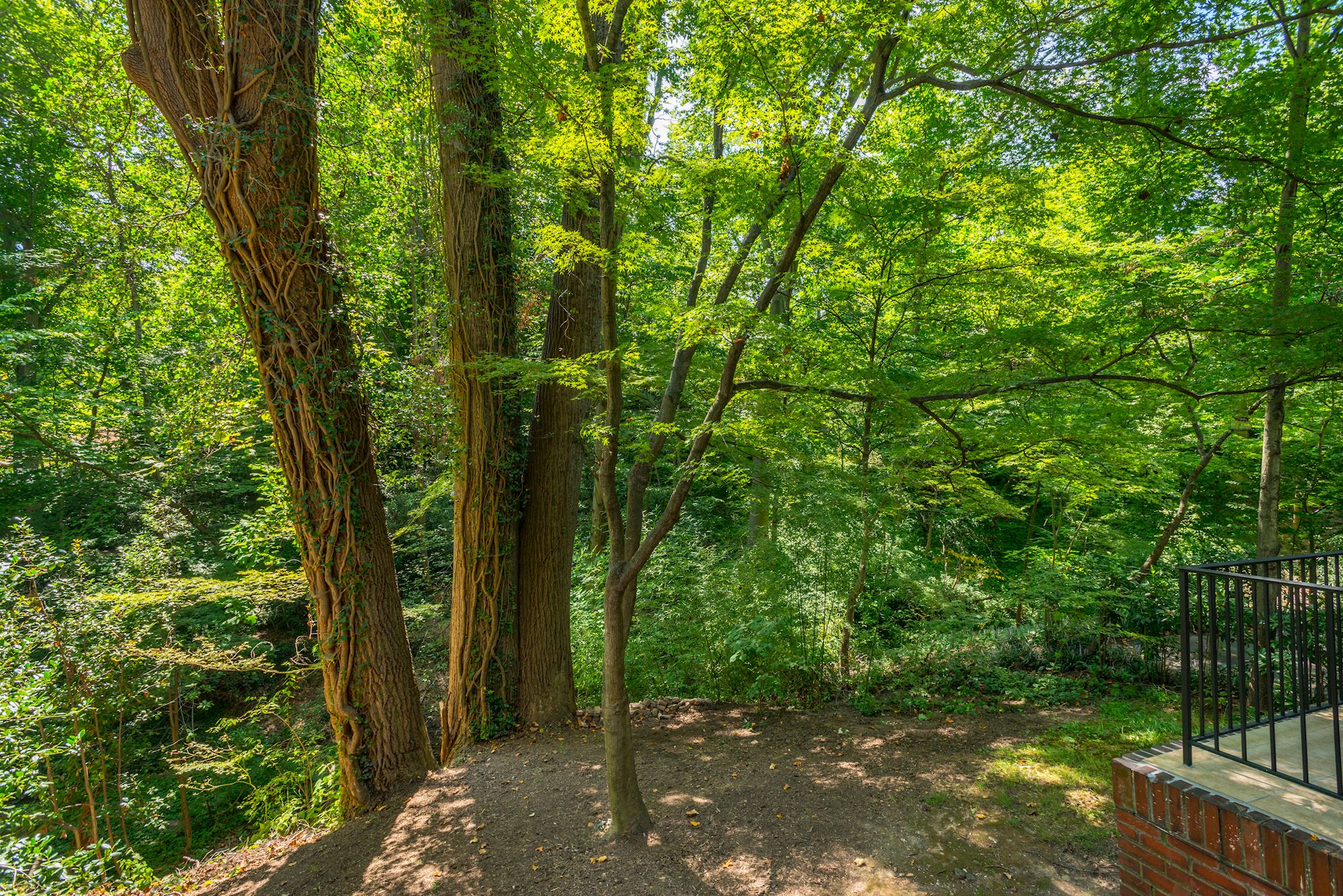 Sylvan Views