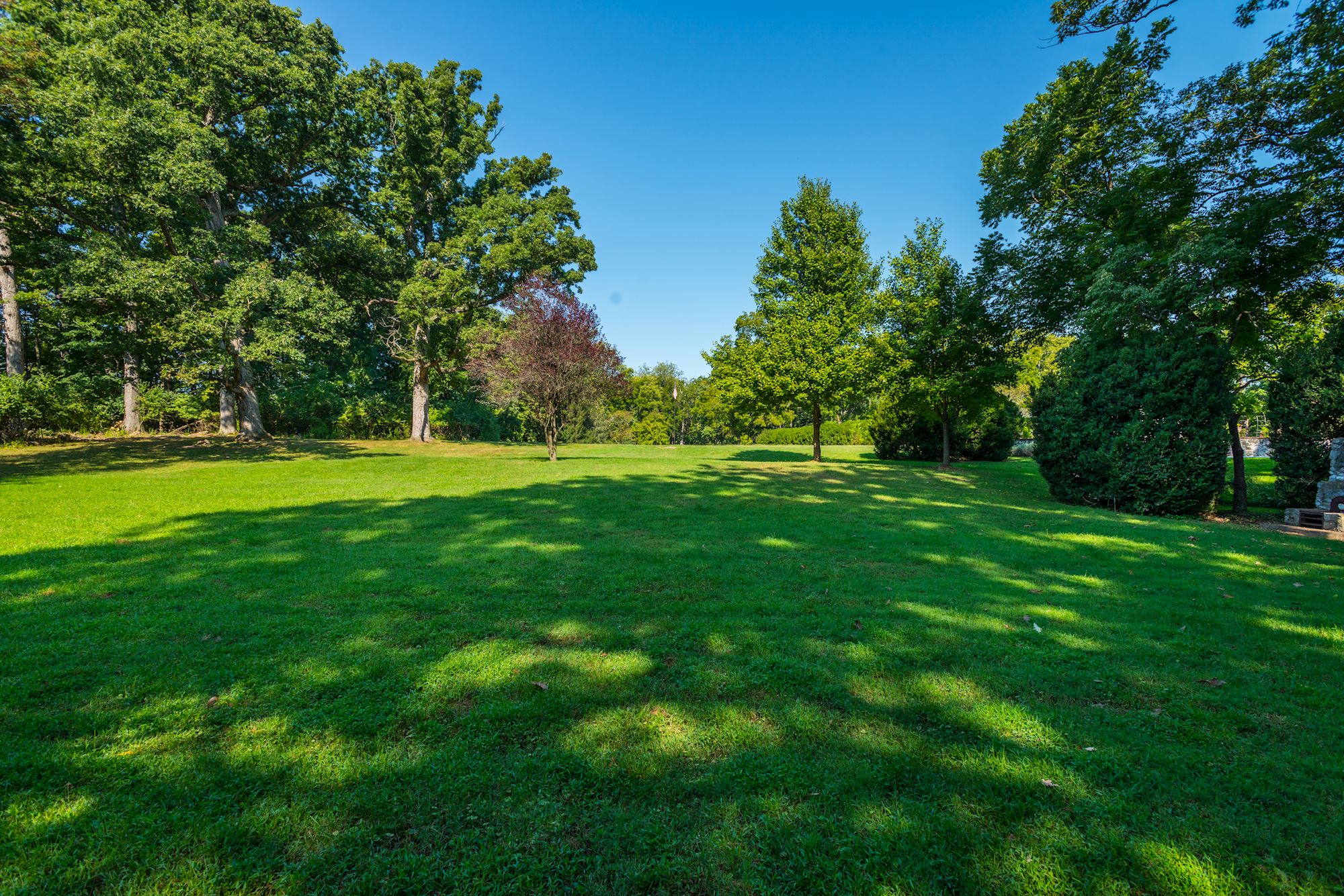 Ancient Boxwoods and Hardwoods Abound