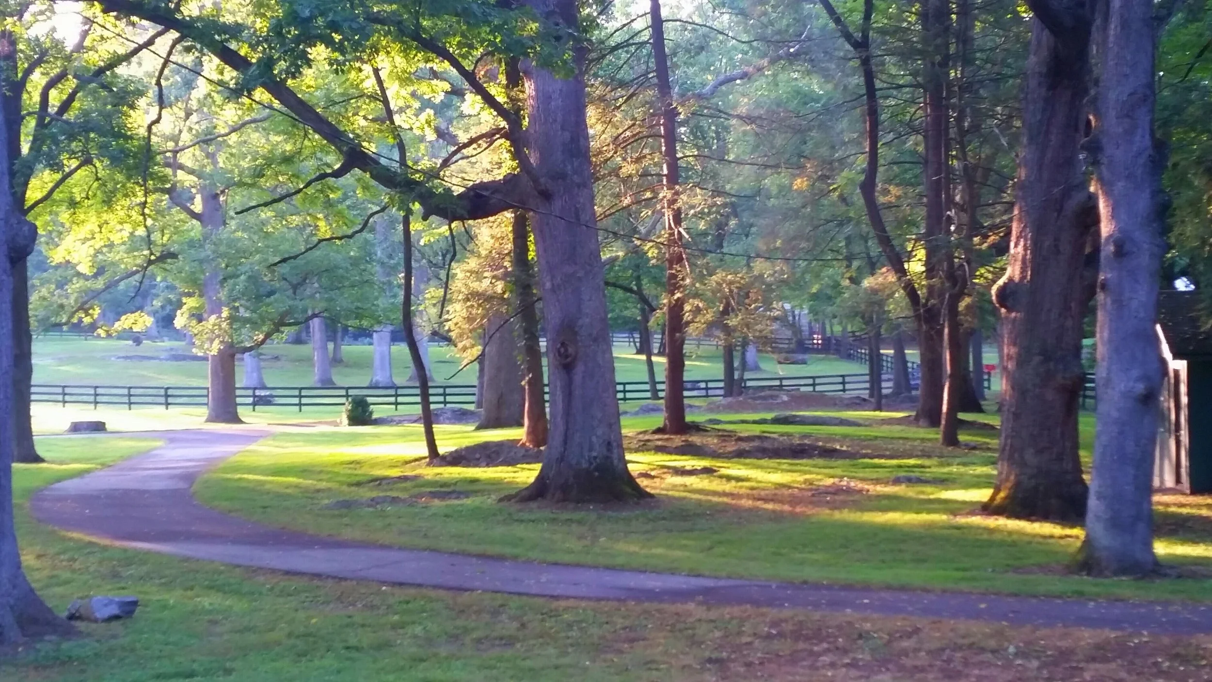 Set in a Park-like Glen