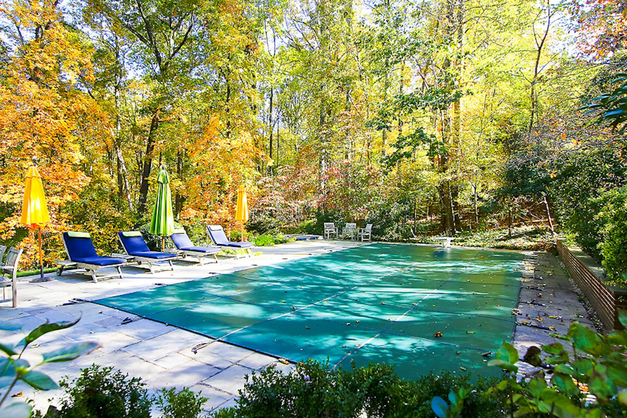 Swimming Pool with Spa