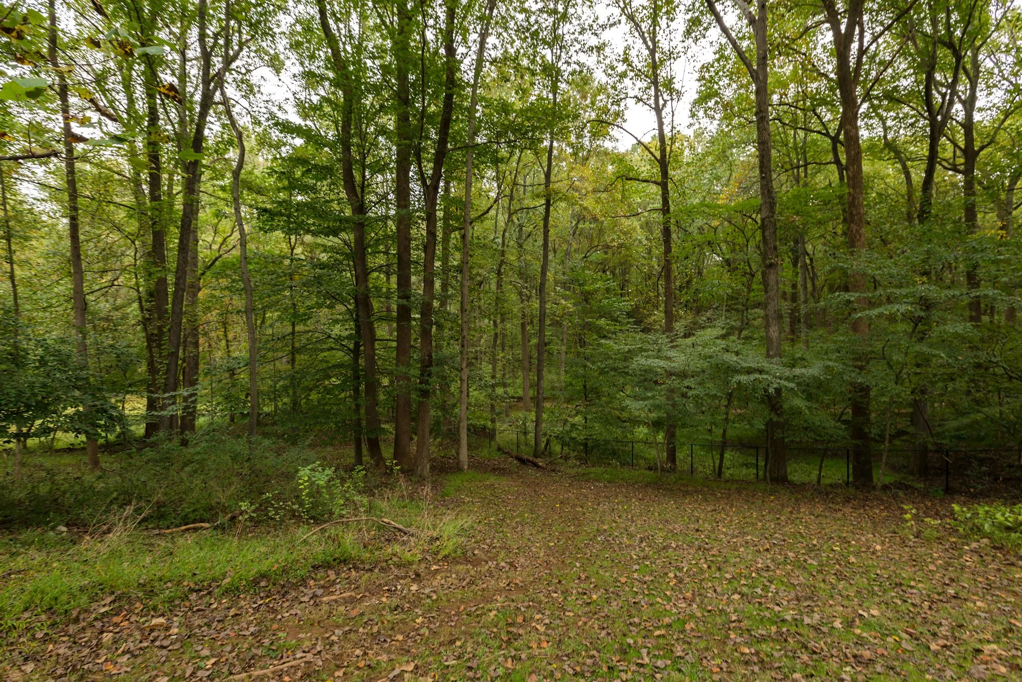 Park-like Setting