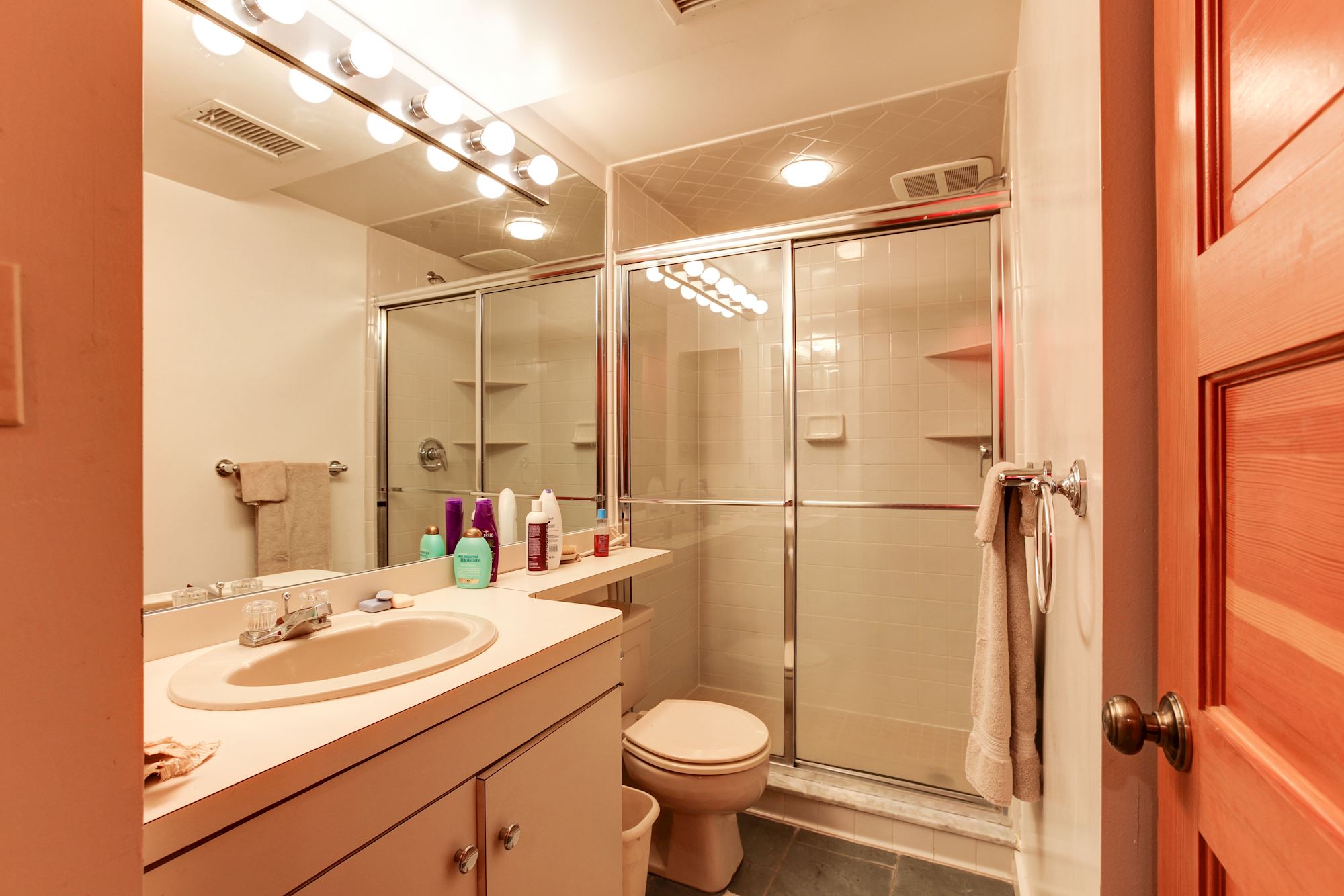 Lower Level Full Bathroom