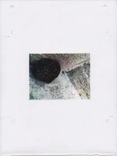 Nest and Steps II