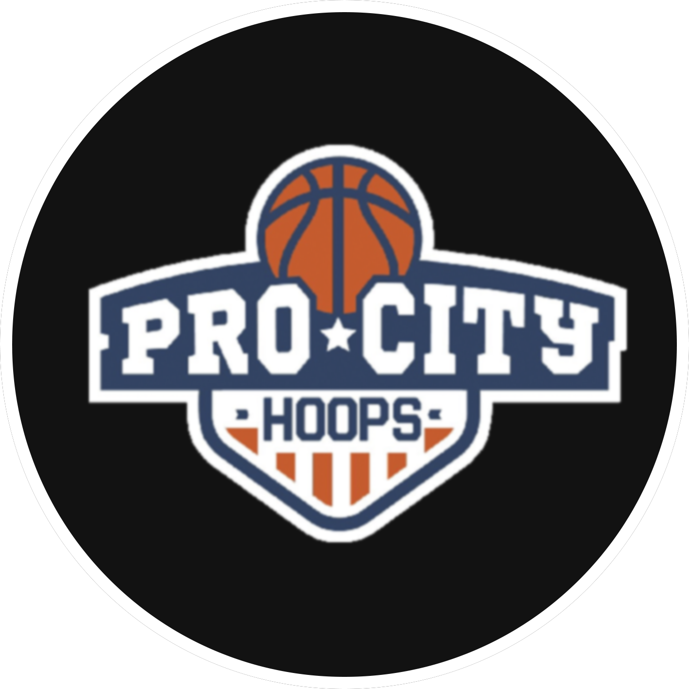 PRO CITY HOOPS