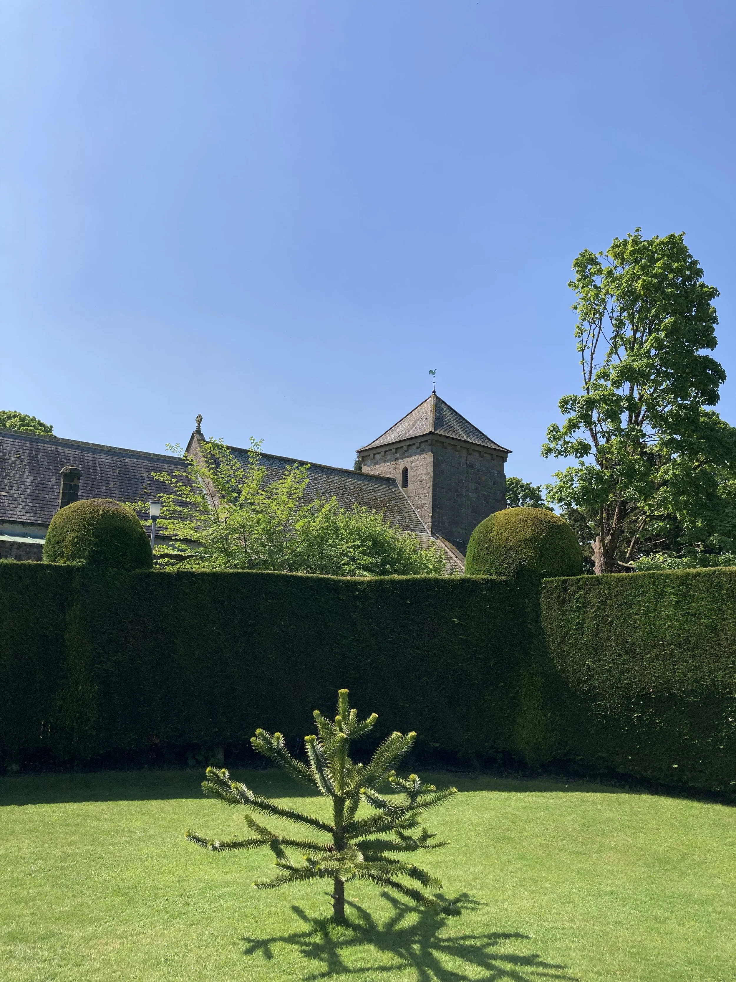IMG_5480.jpeg