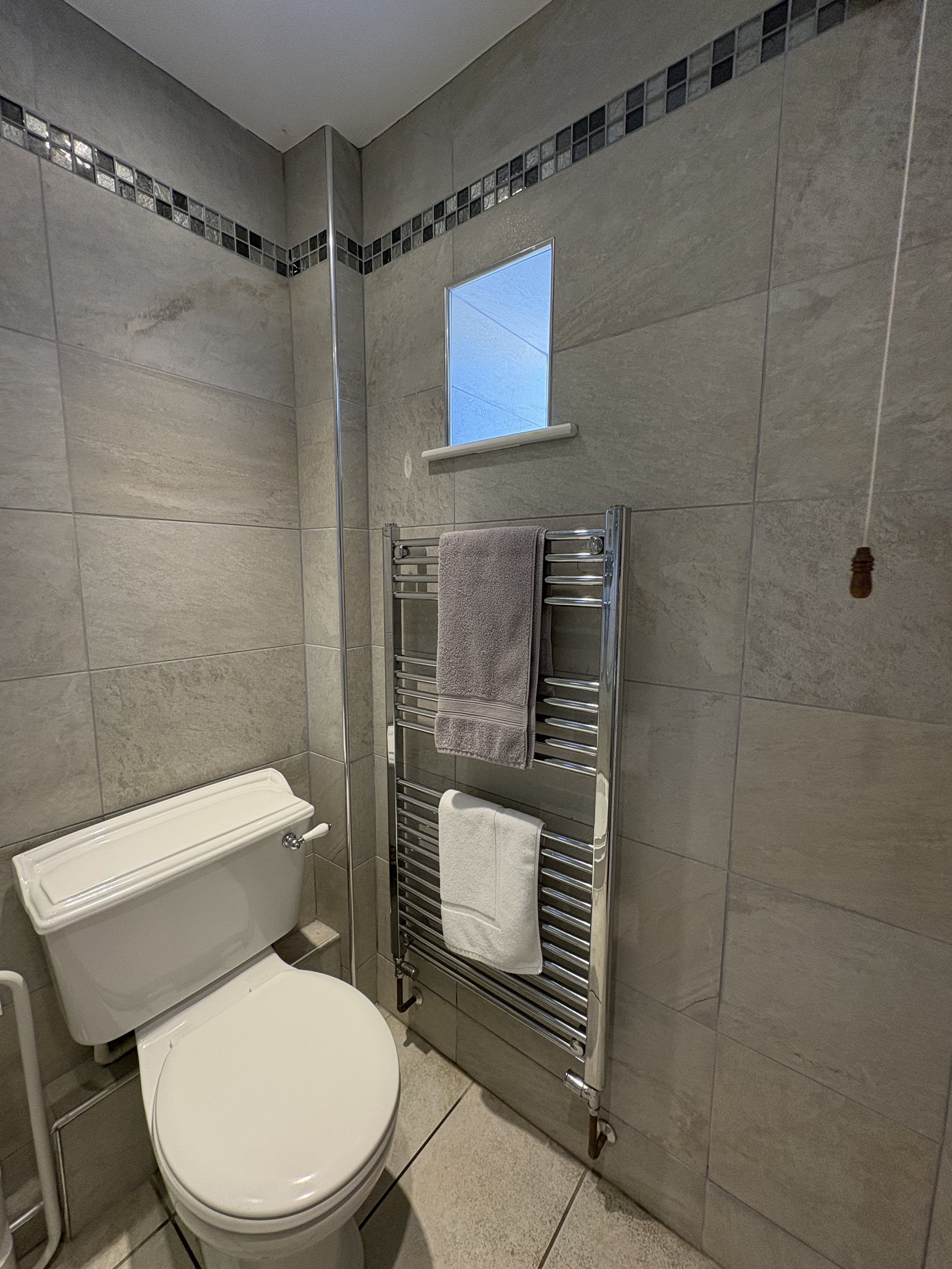 Shower window & rail.jpeg