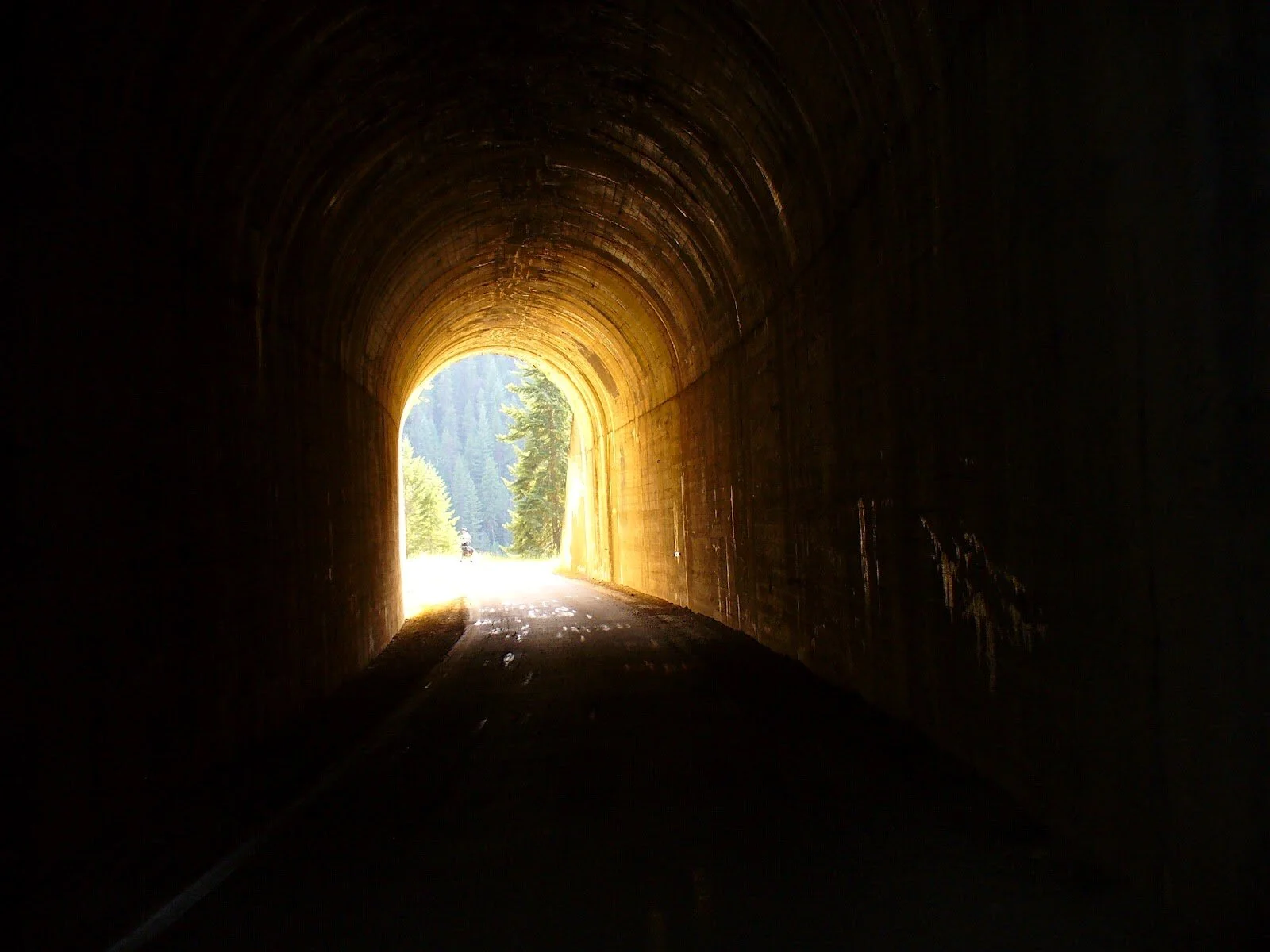 Rejoicing The Light