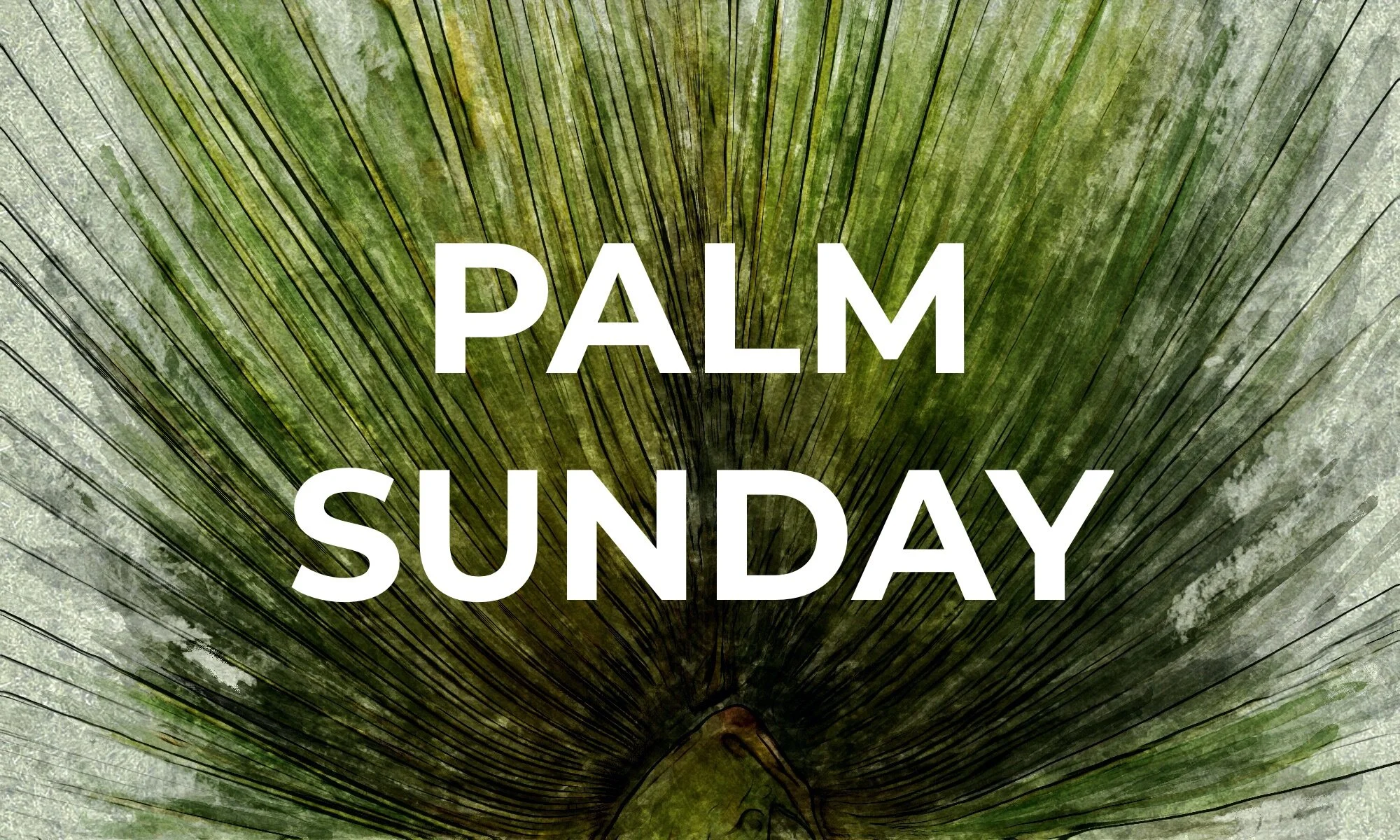 Palm Sunday.jpeg