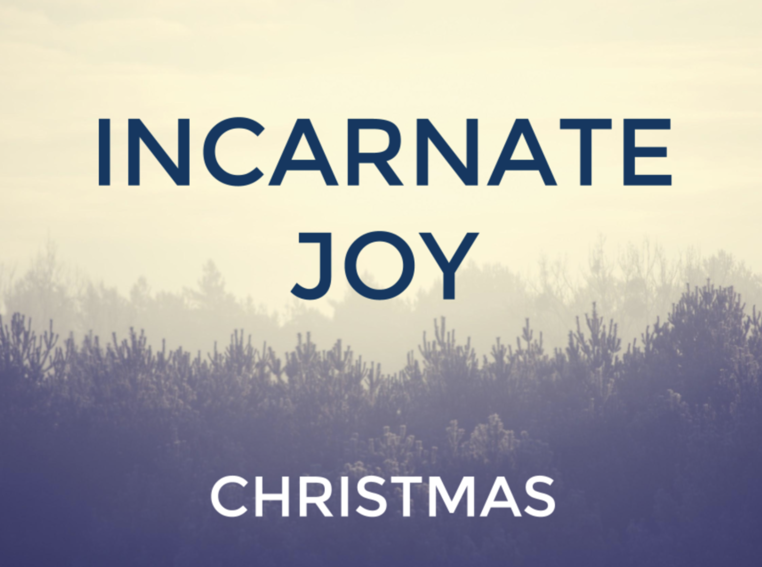 Christmastide 2016: Incarnate Joy