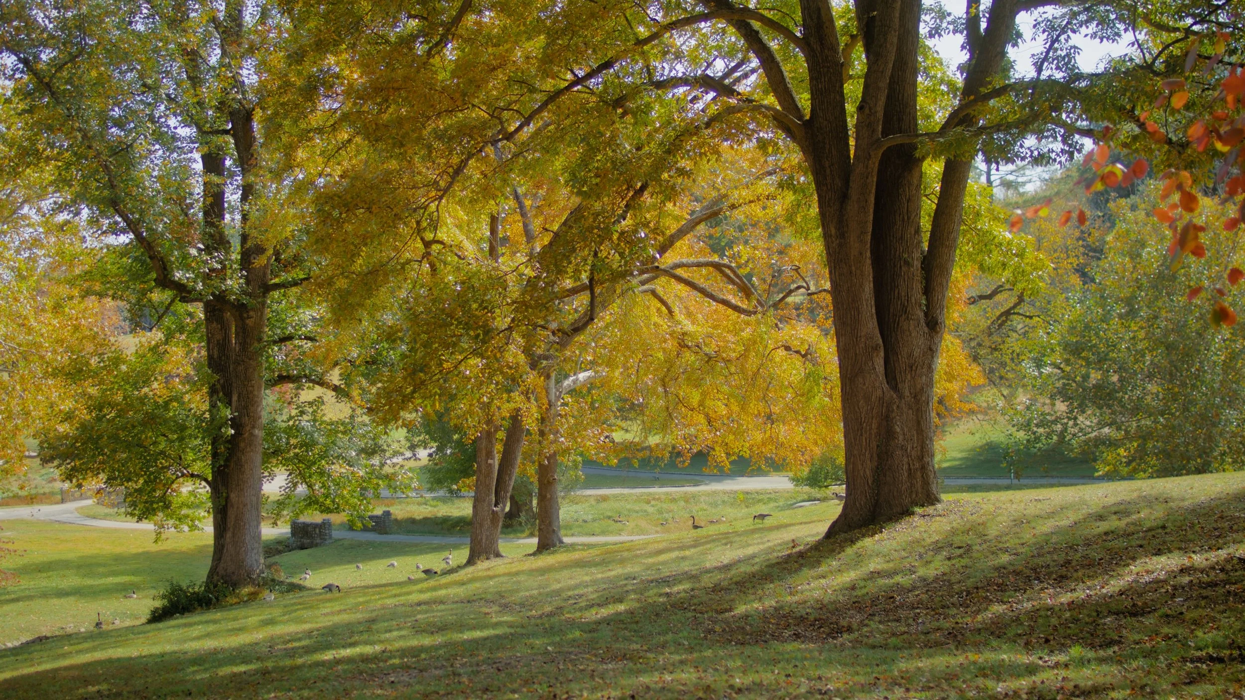 An Upcoming Staff Transition