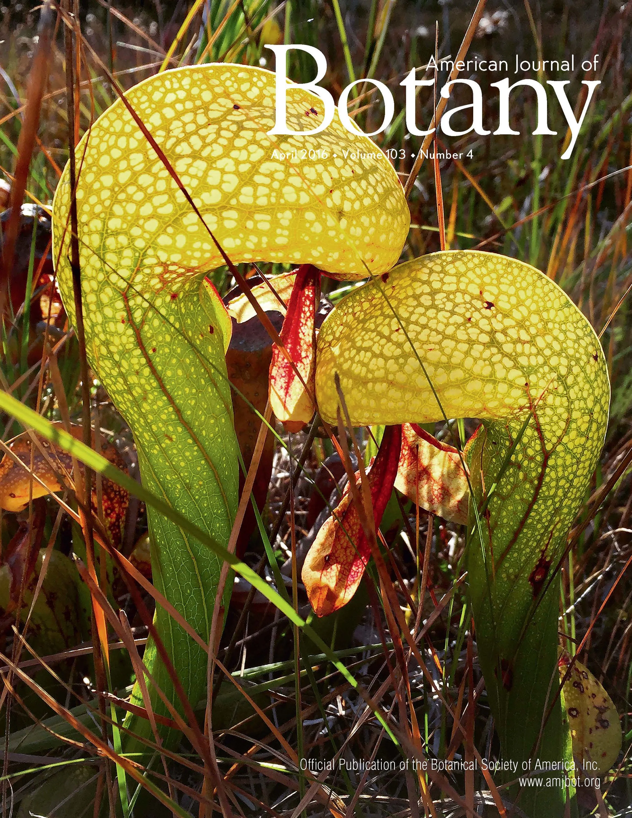 DACA_Cover (1).jpg