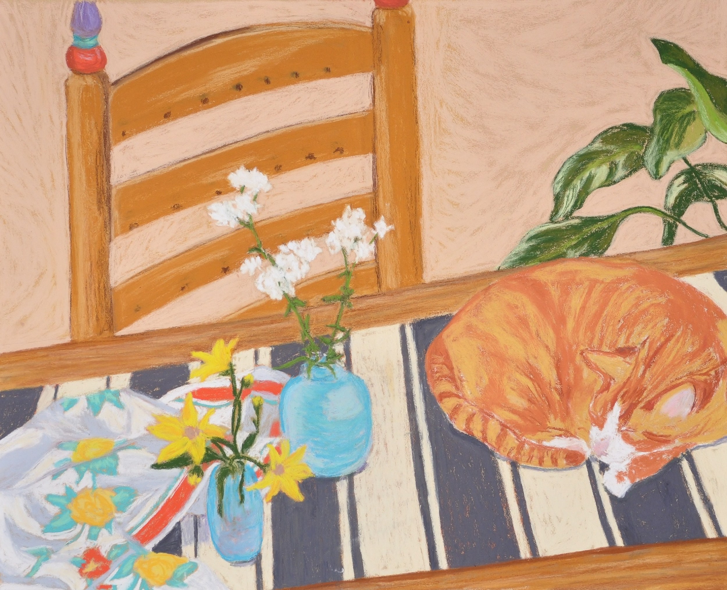 Mr. Orange Studio Cat