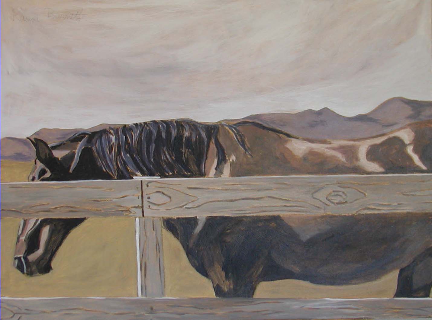 Black Horse, Cool Dawn