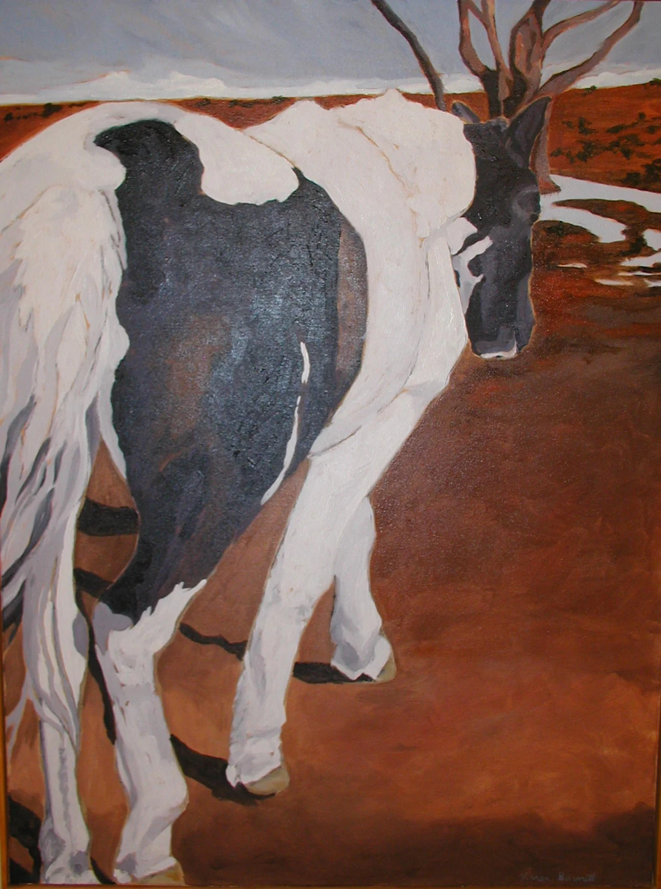 Black and White Mare