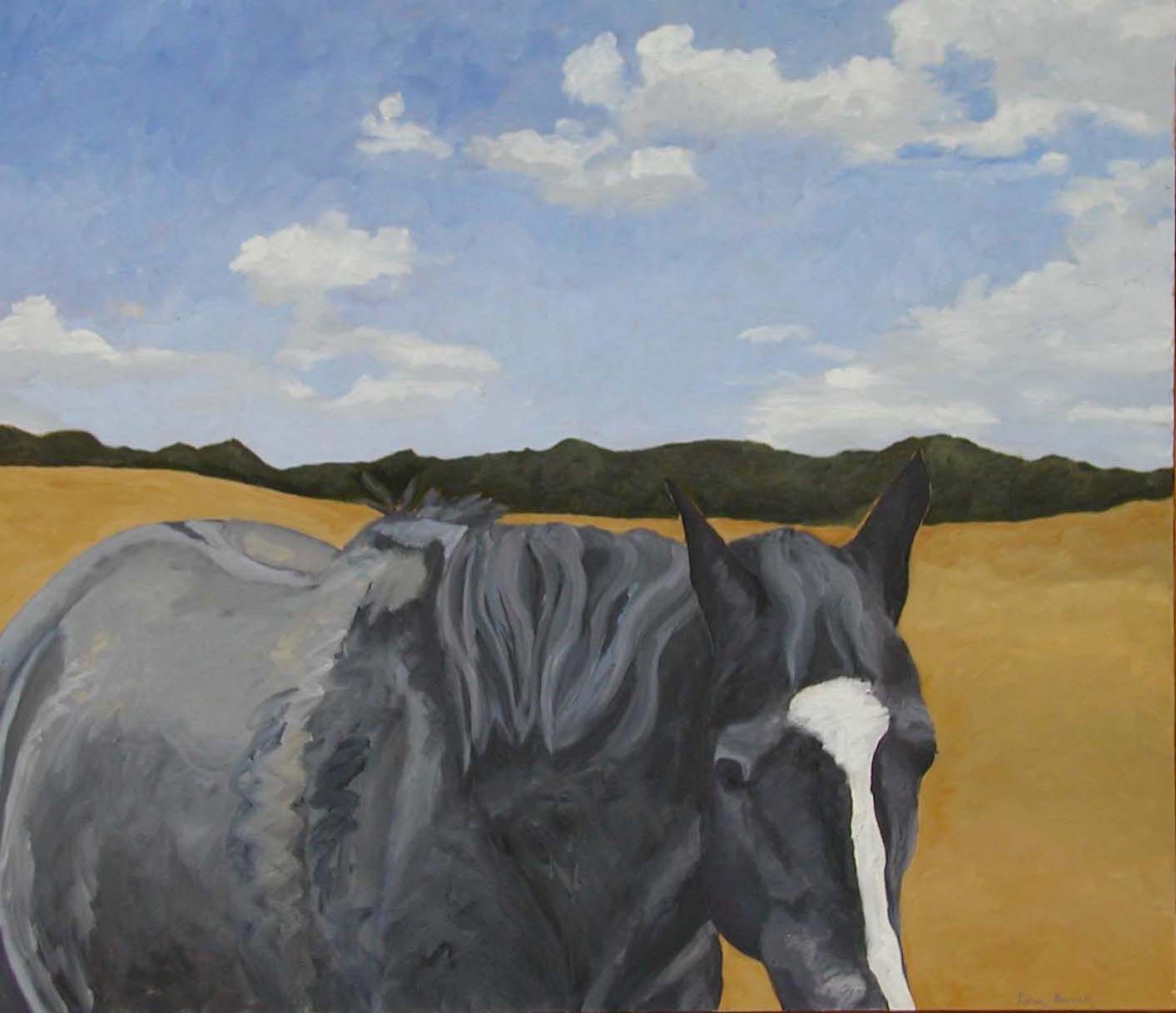 Black Horse, Summer Sky