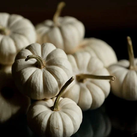 White Pumpkin