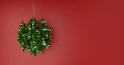 Kissing Under the Mistletoe – Prepare to Pucker Up