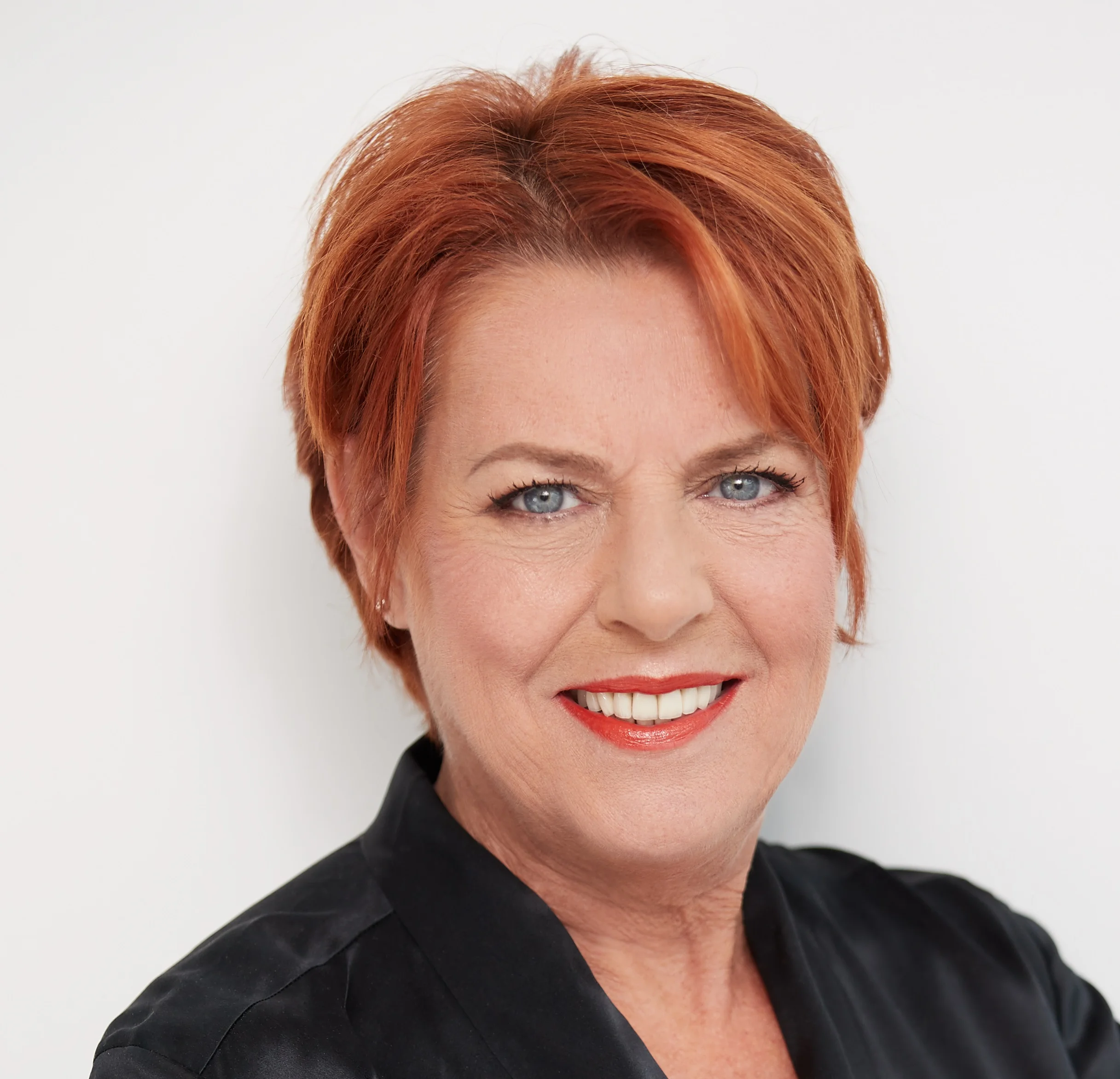 Member ex-officio Ms. Louise Béchamp Labour and Employment Lawyer
