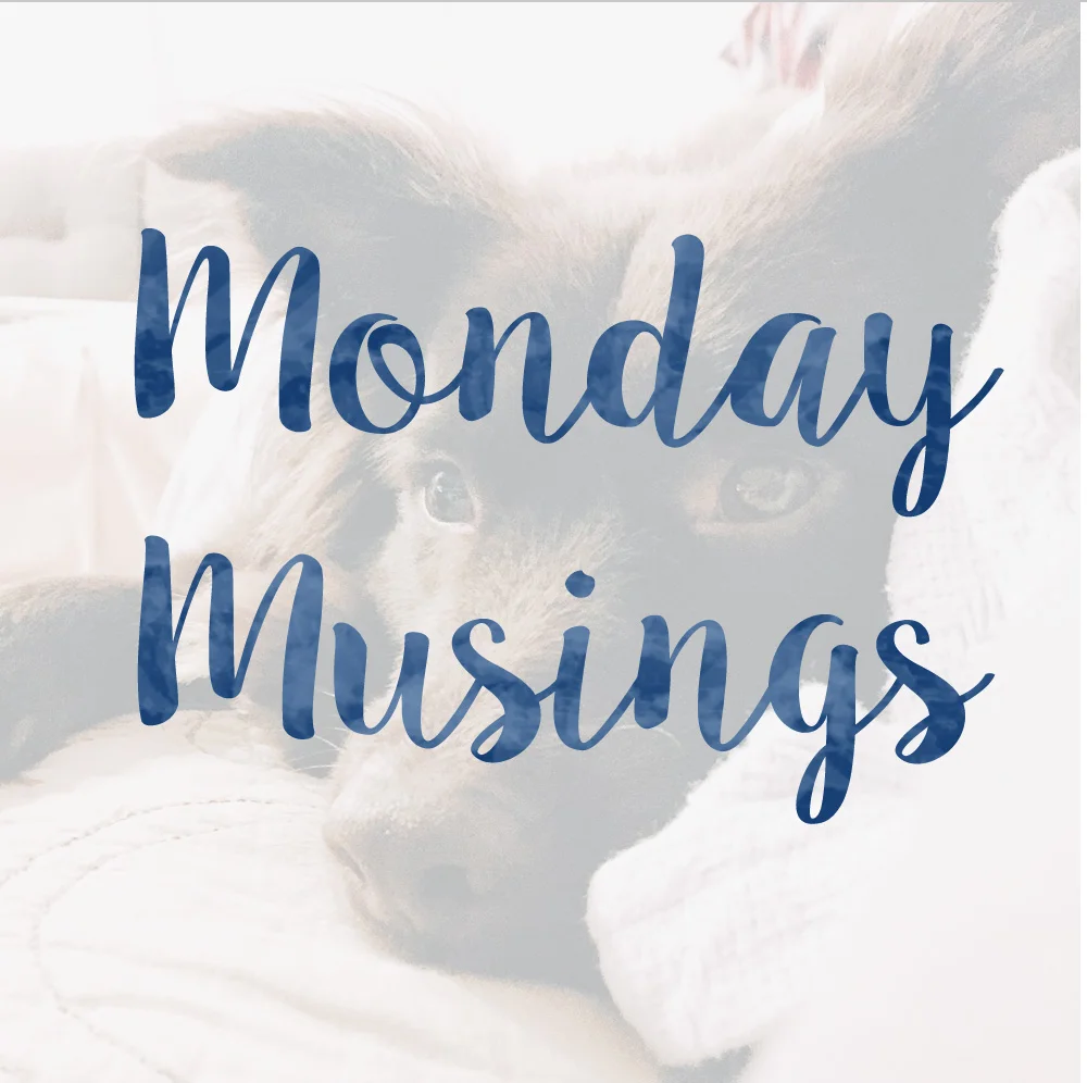 Monday Musings: Favorites from last Week!