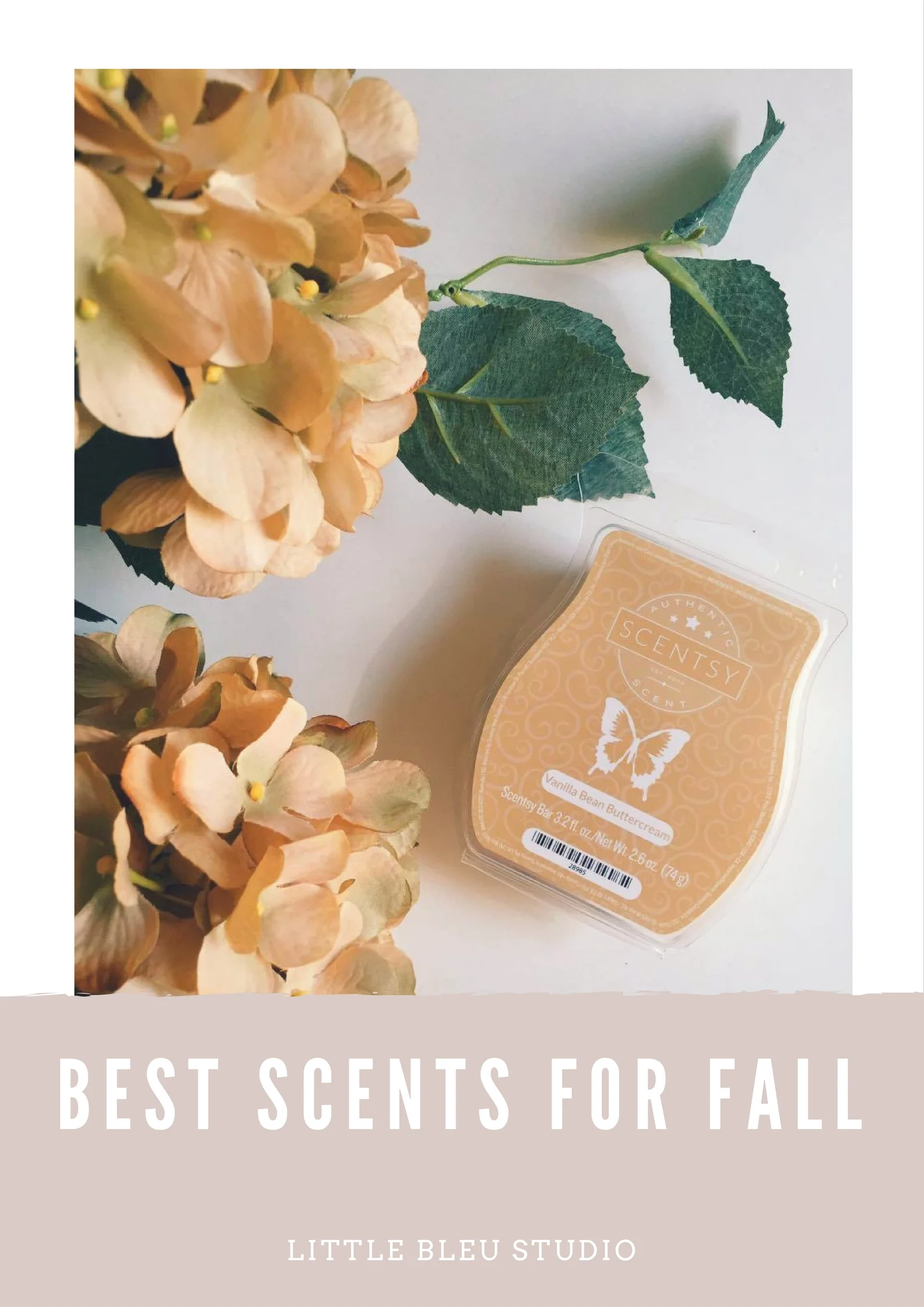 "Best" Scents for Fall