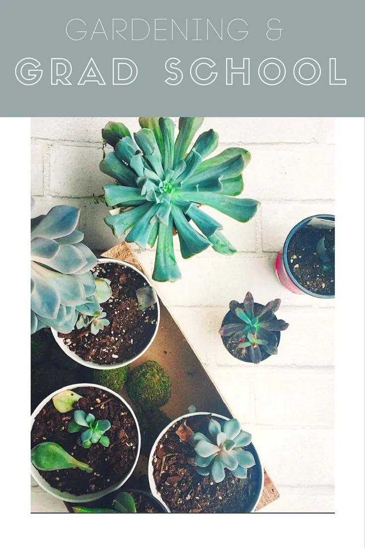 Monday Musings: Grad School & Gardening. 