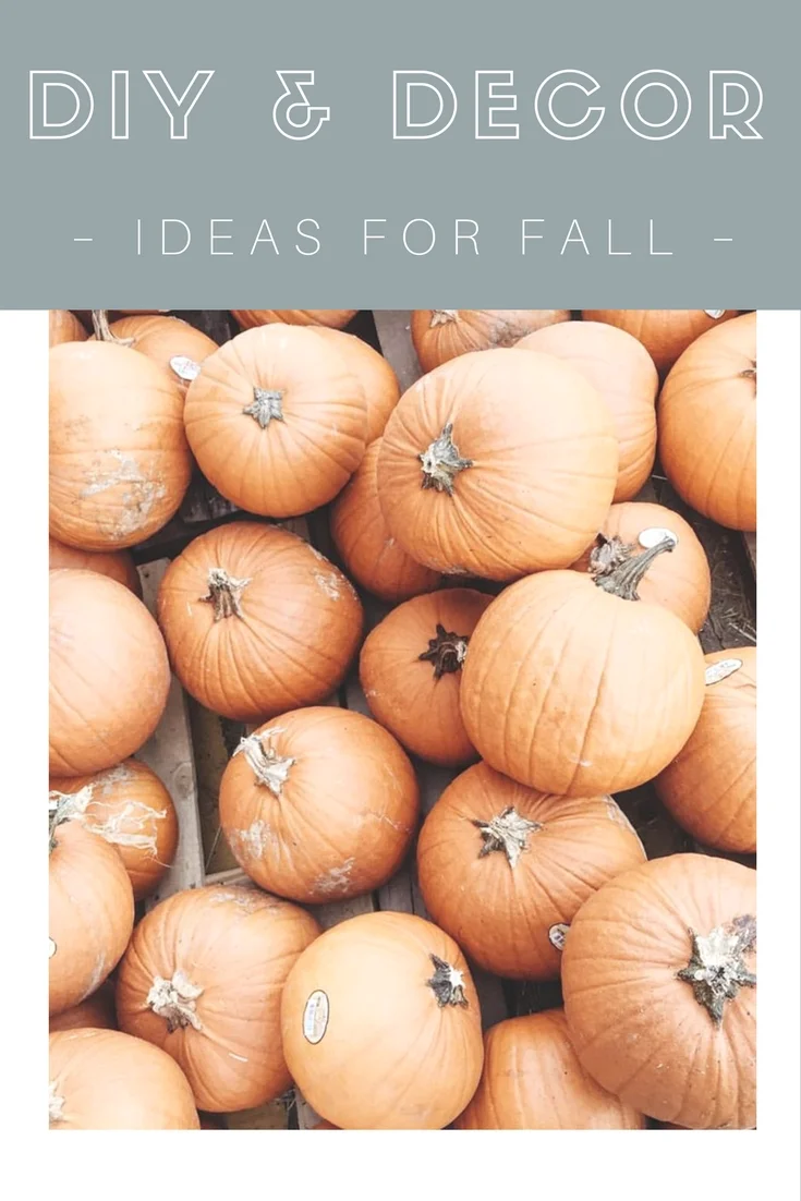 Favorite Fall DIY & Decor Ideas!