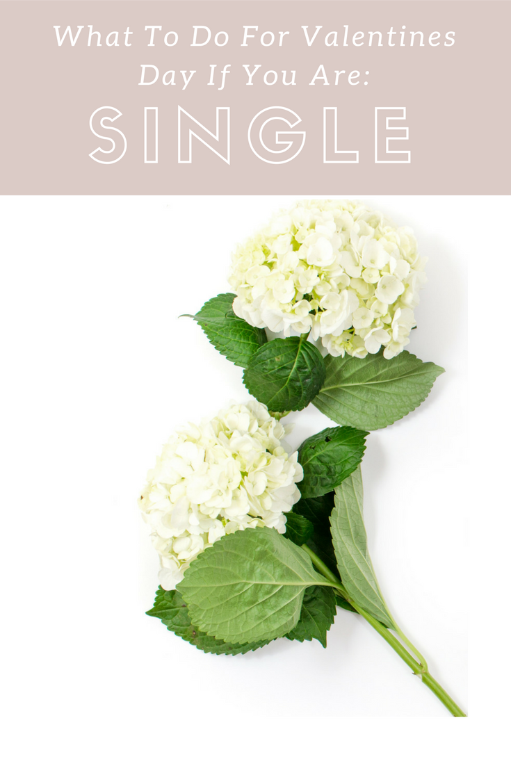Things to Do On Valentines Day If You're Single
