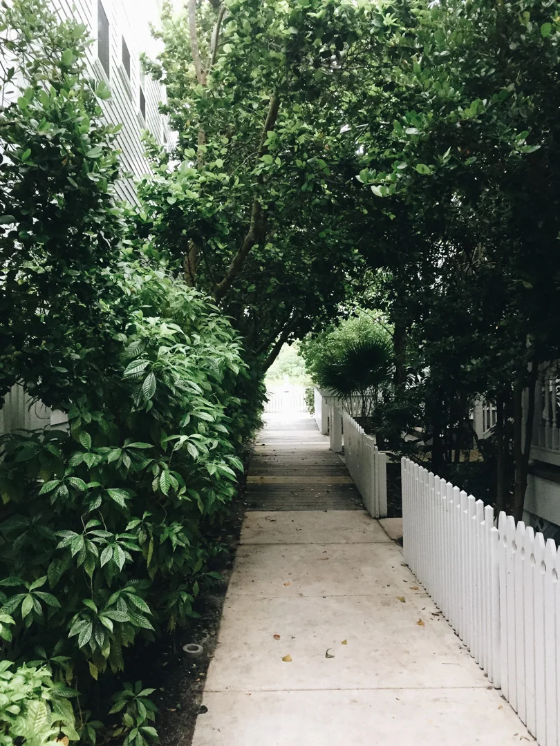 The resort felt like we were in the jungle! It was incredible!