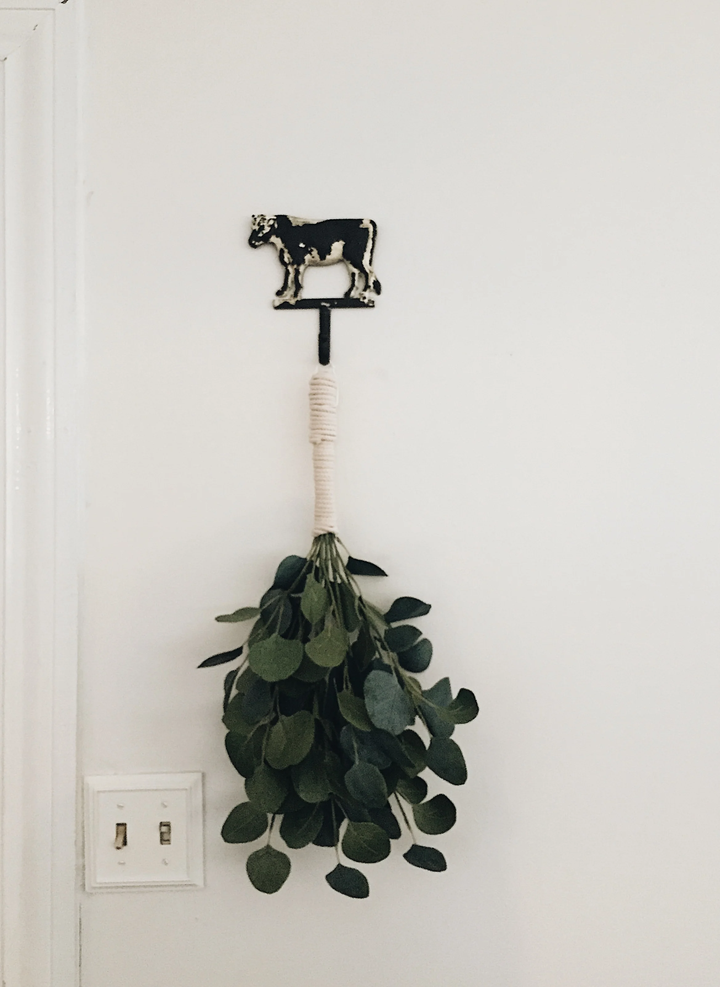 Processed with VSCO with a6 preset